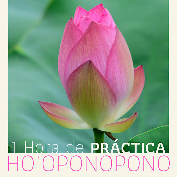 Релиз 1 Hora de Práctica Ho'oponopono - Meditación del Perdón y Sanación