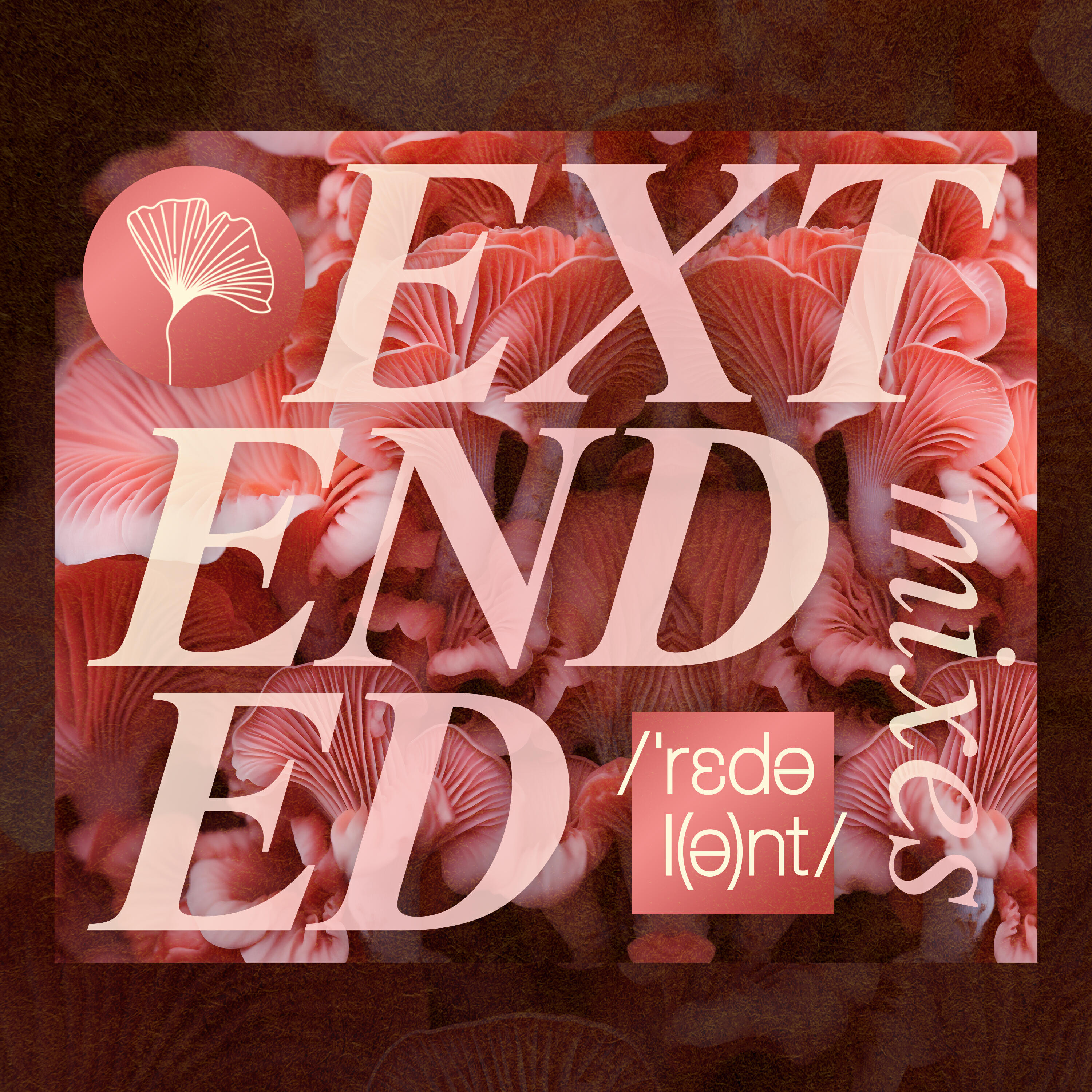 Релиз Extended Mixes 2023