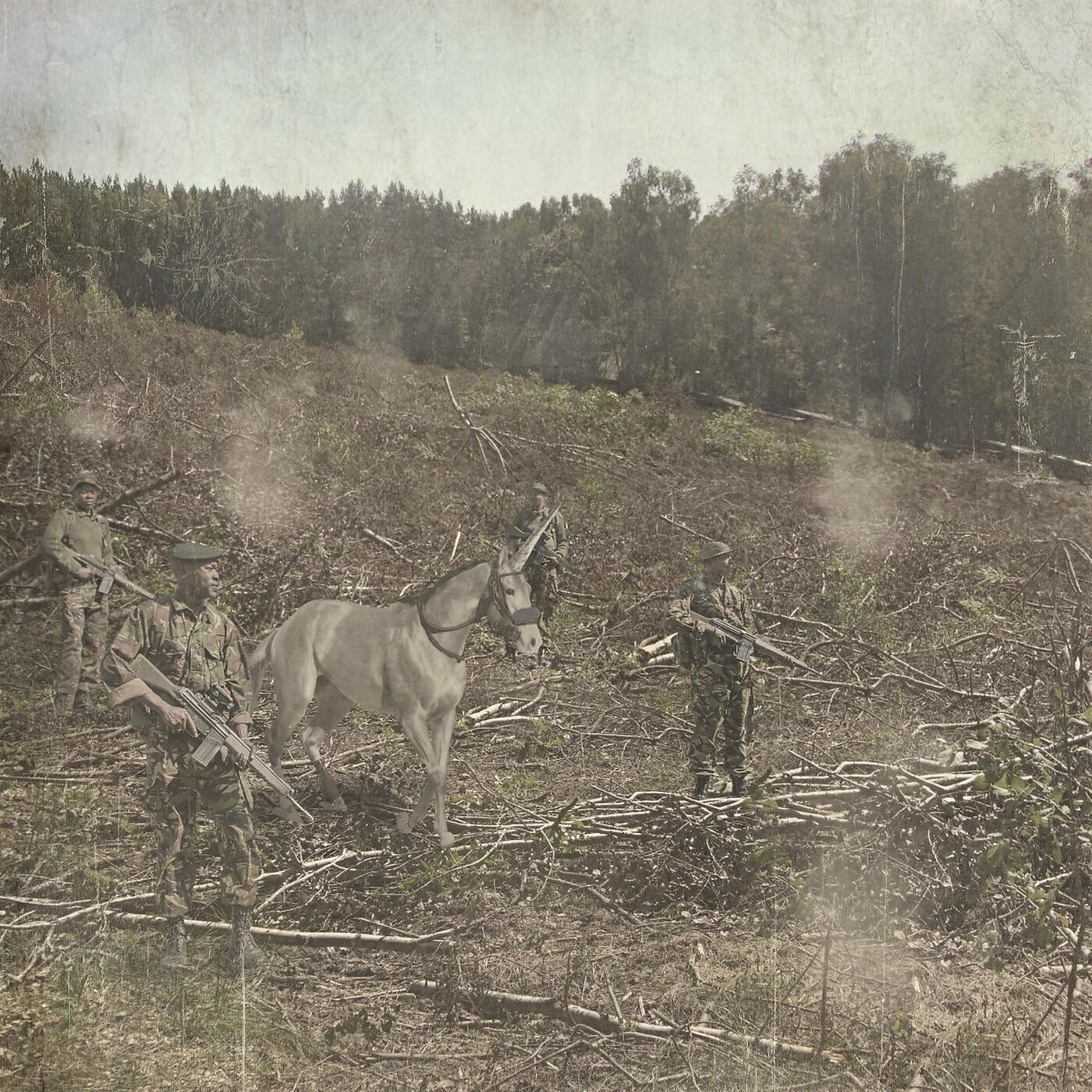 Релиз Crickets