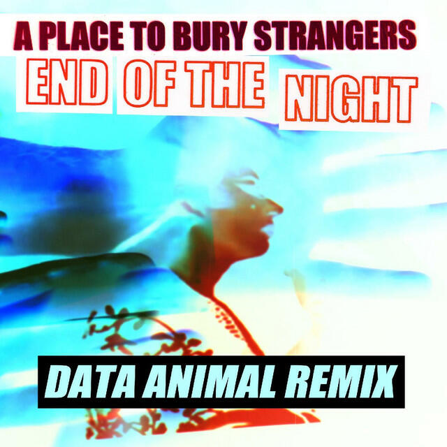 Релиз End Of The Night (Data Animal Remix)