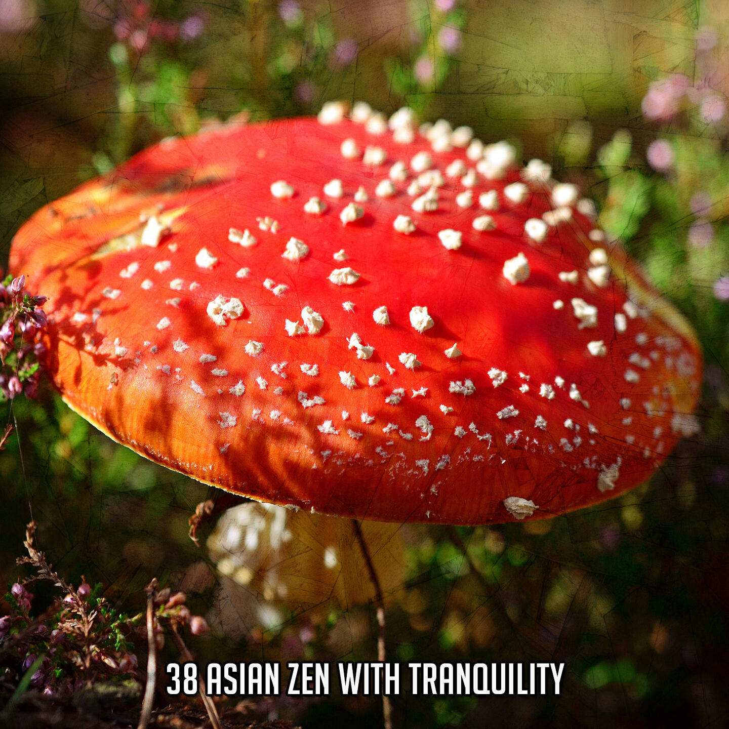 Релиз 38 Asian Zen With Tranquility