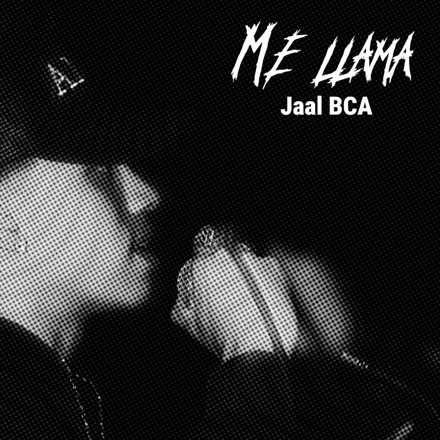 Релиз Me Llama