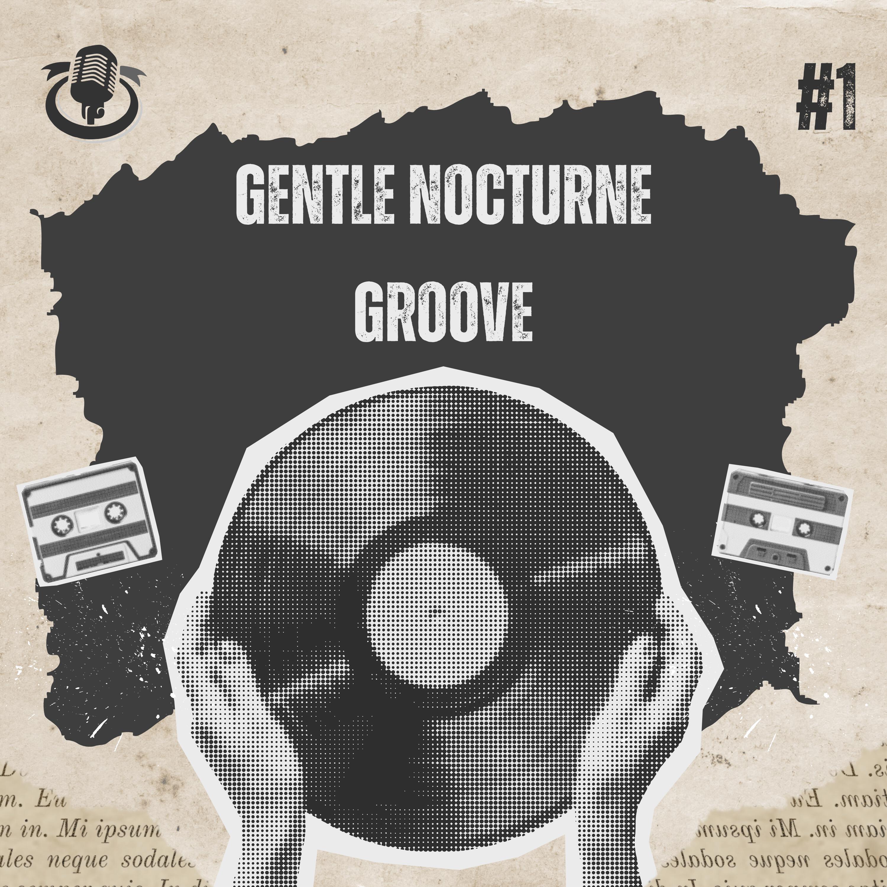 Релиз Gentle nocturne groove