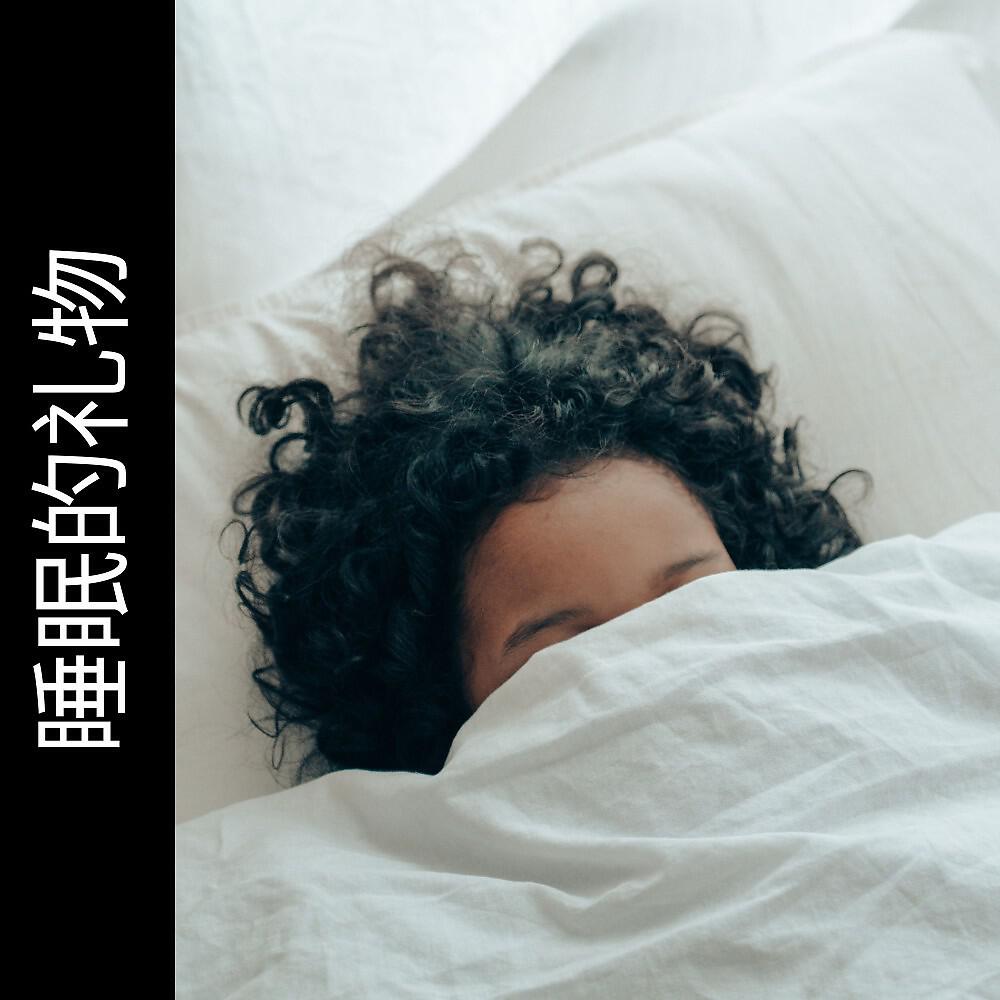 Релиз 睡眠的礼物