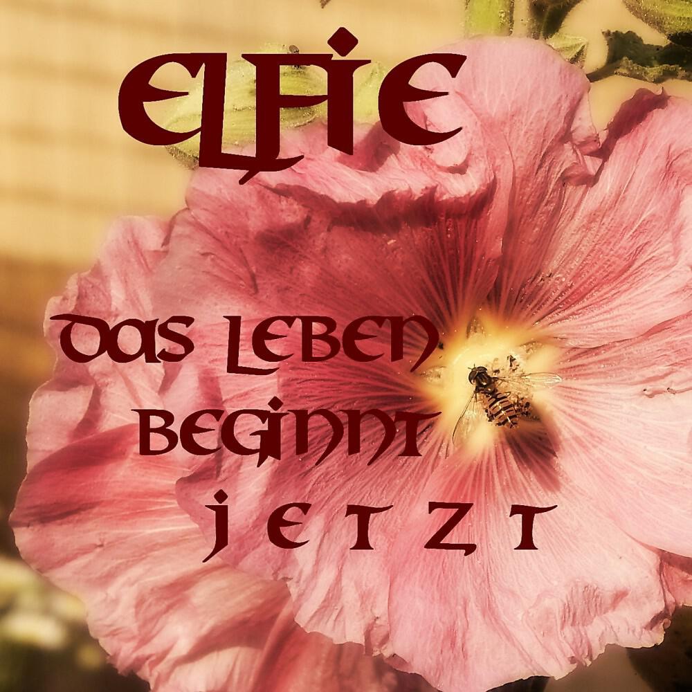 Релиз Das Leben beginnt Jetzt