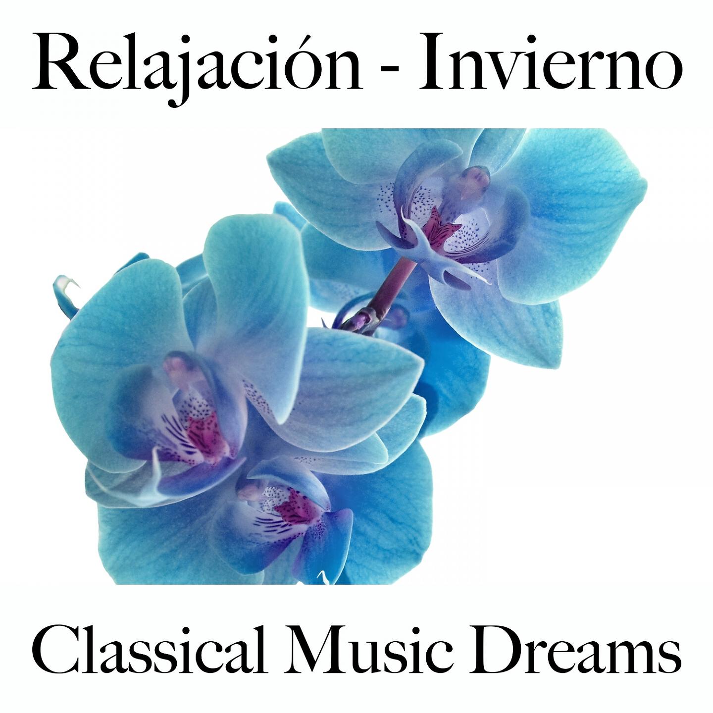 Релиз Relajación - Invierno: Classical Music Dreams - La Mejor Música Para Relajarse