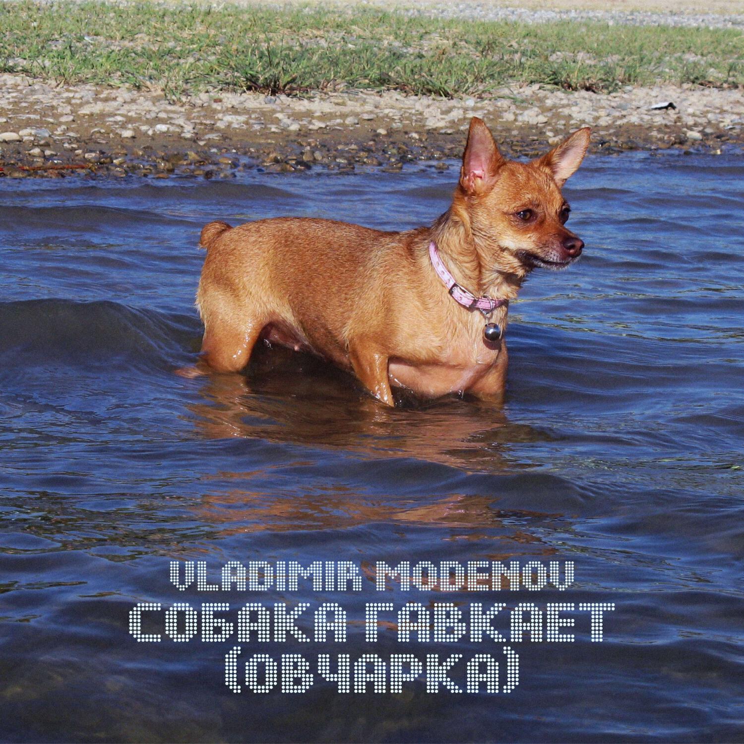 Релиз Собака гавкает (овчарка)