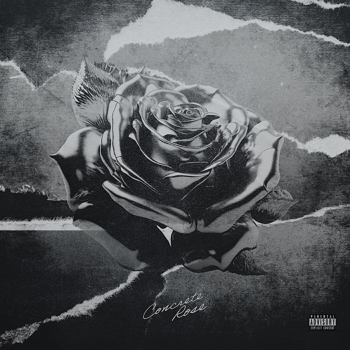 Релиз Concrete Rose
