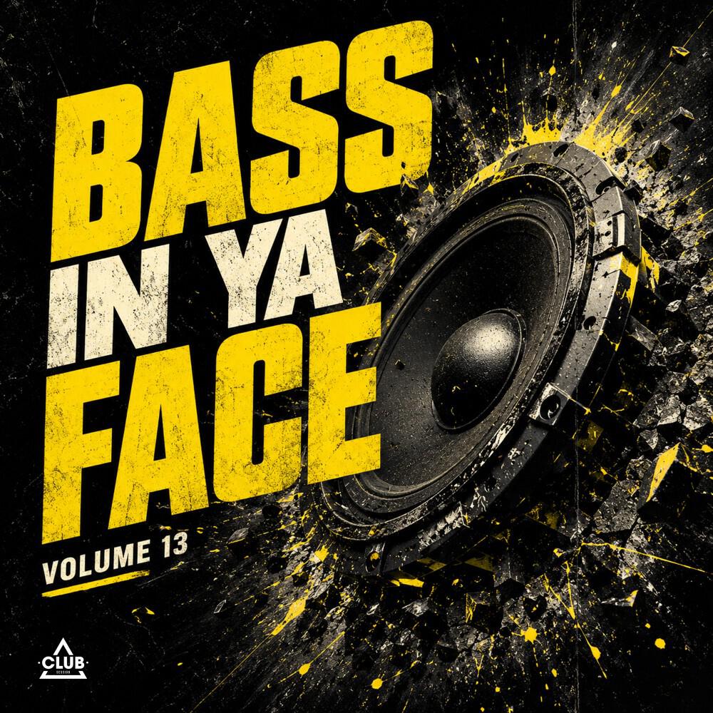Релиз Bass in Ya Face, Vol. 13