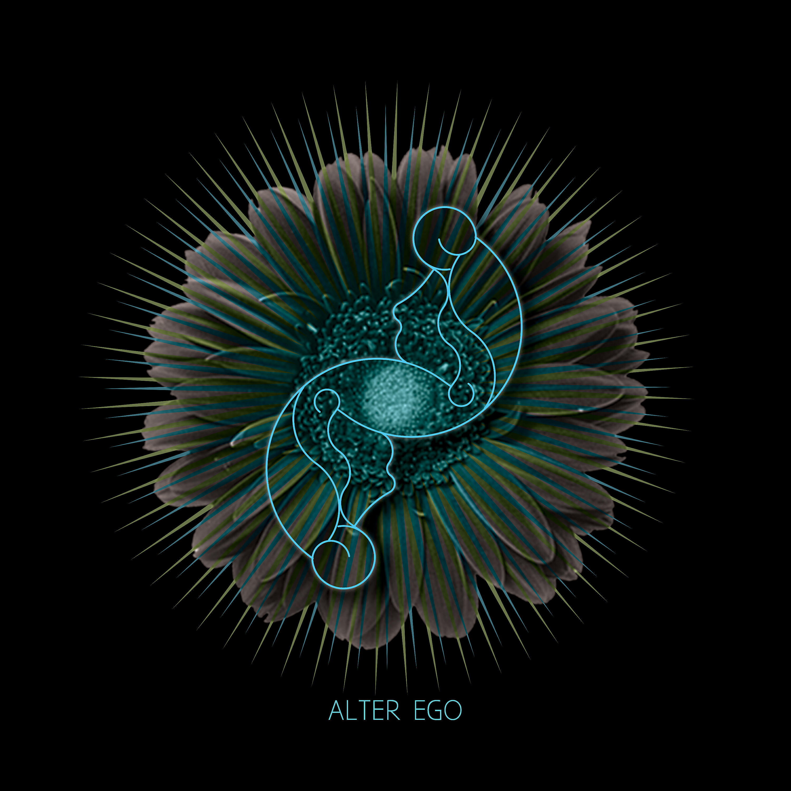 Релиз Alter Ego