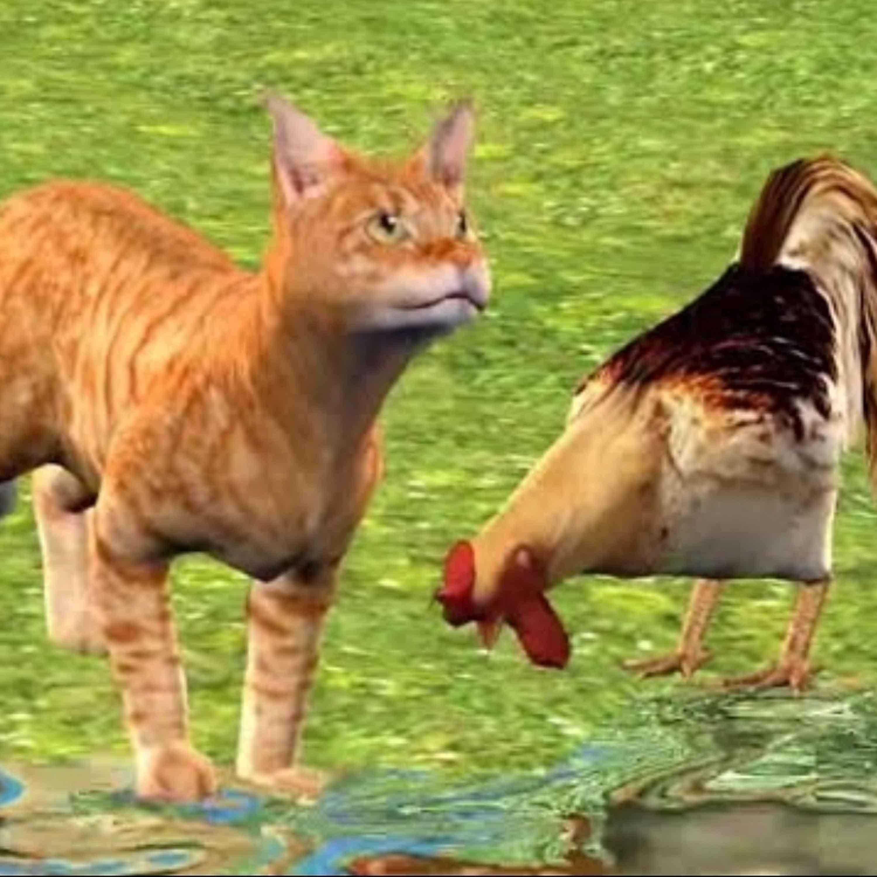 Danja Kusi