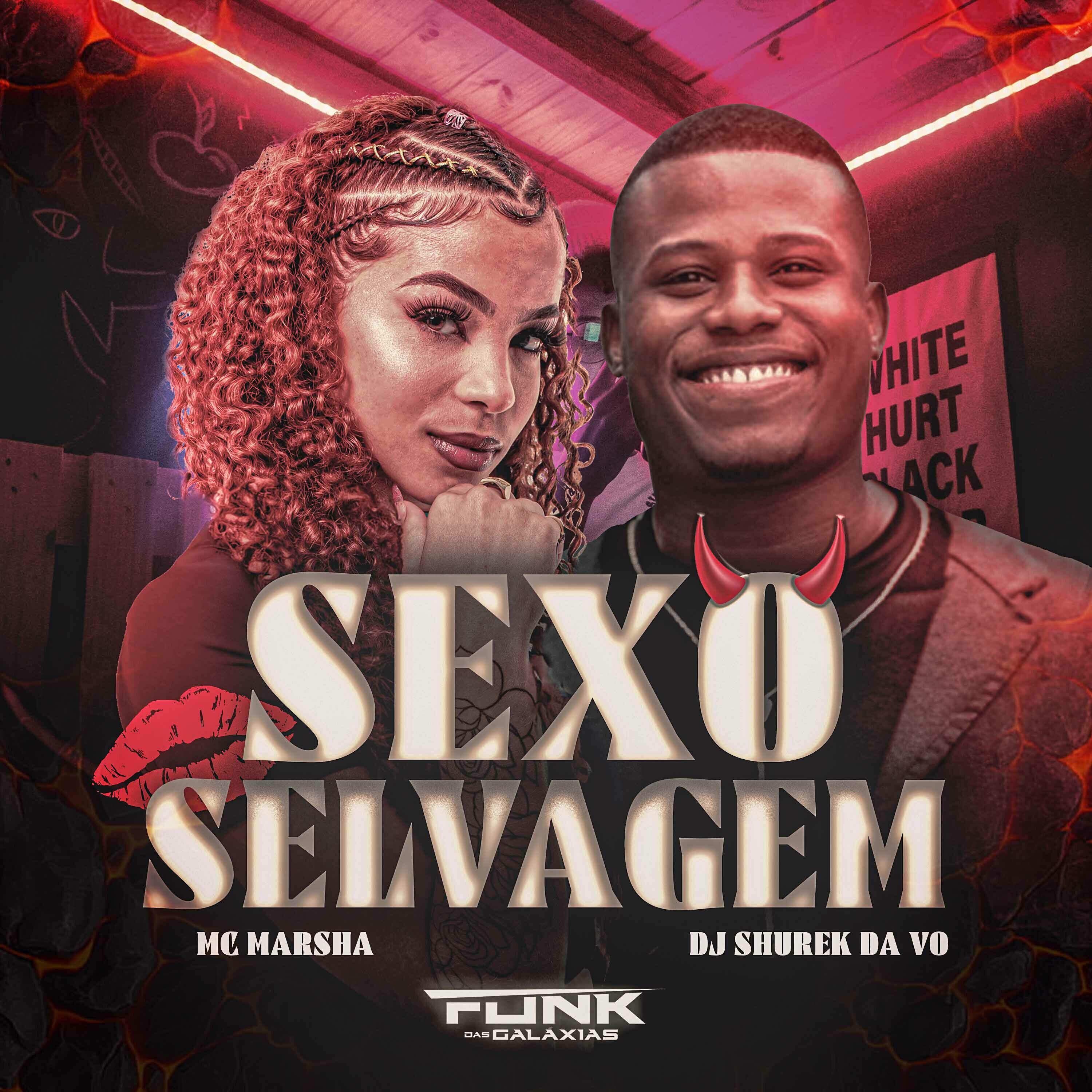 Скачать песню mc marsha, Dj Shurek Da V.o - Sexo Selvagem бесплатно в MP3 для Android и iOS