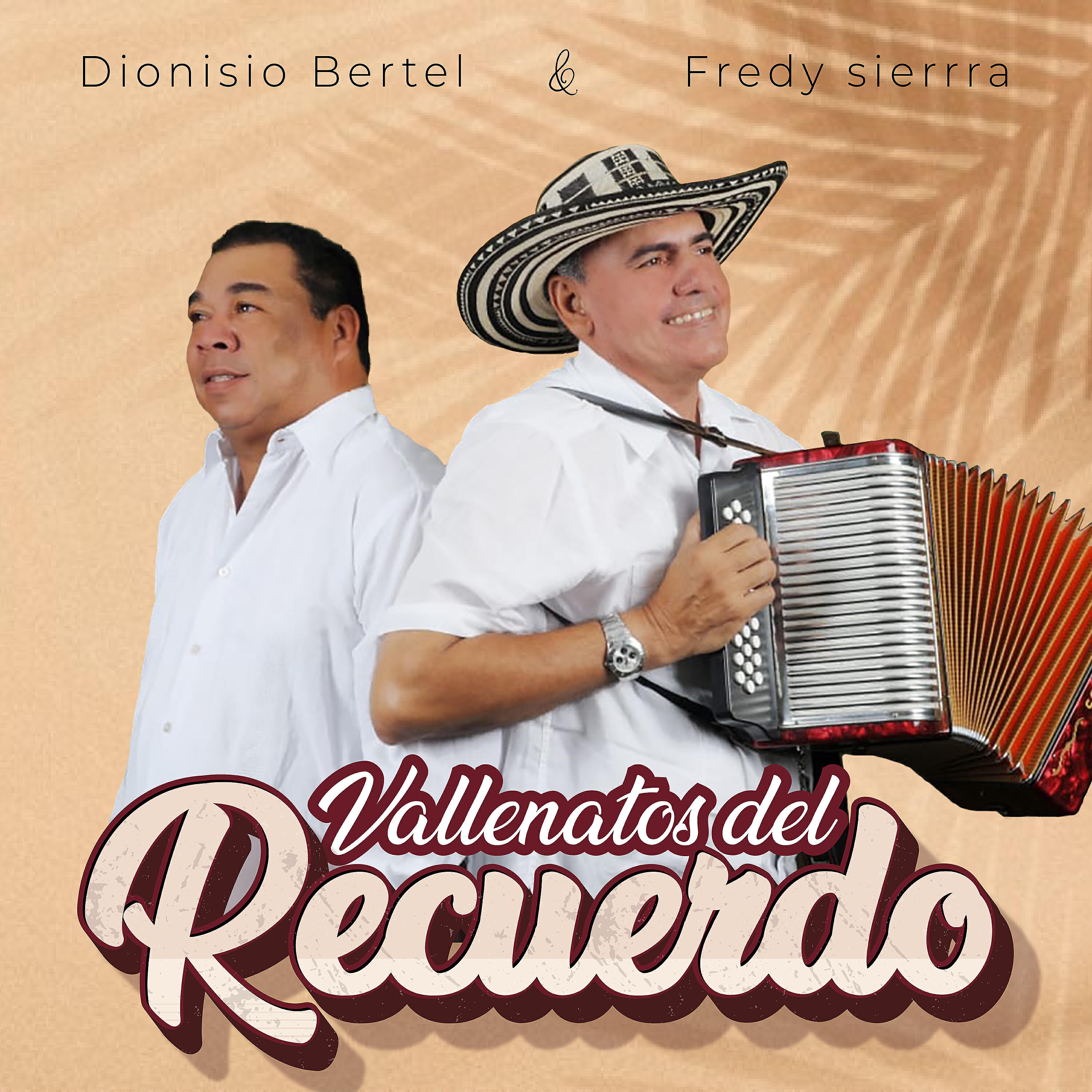 Постер альбома Vallenatos del Recuerdo