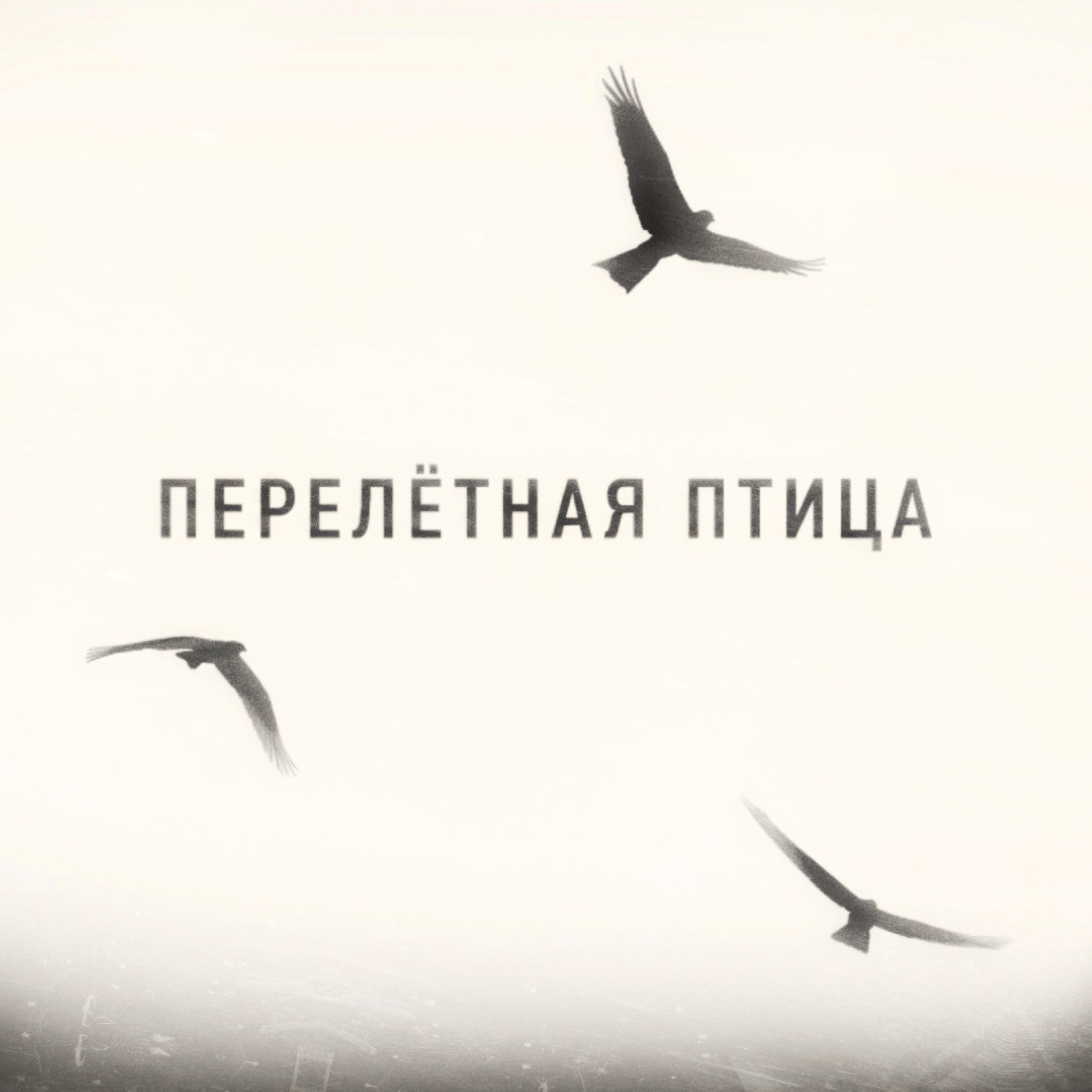 Релиз ПЕРЕЛЁТНАЯ ПТИЦА