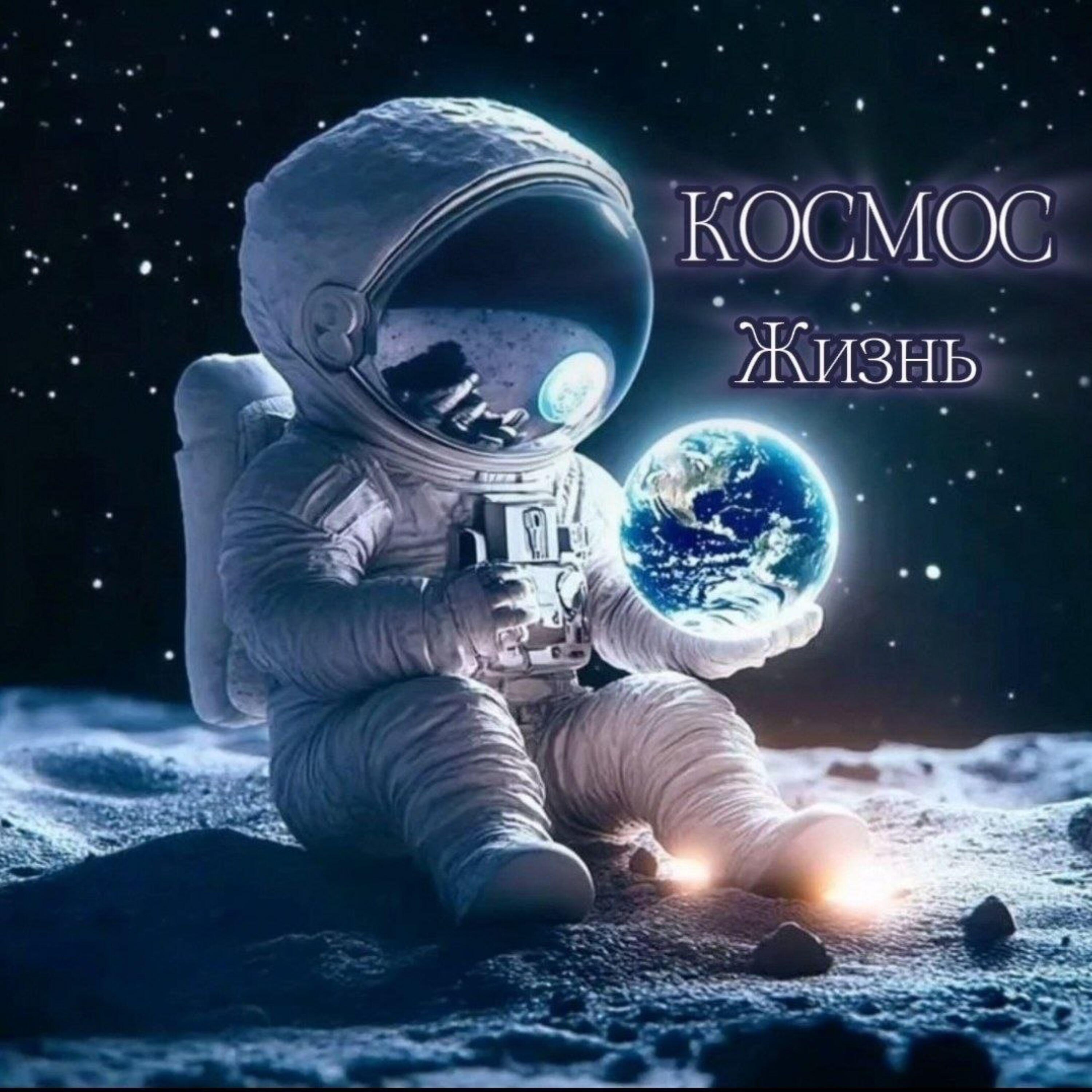 Релиз Жизнь