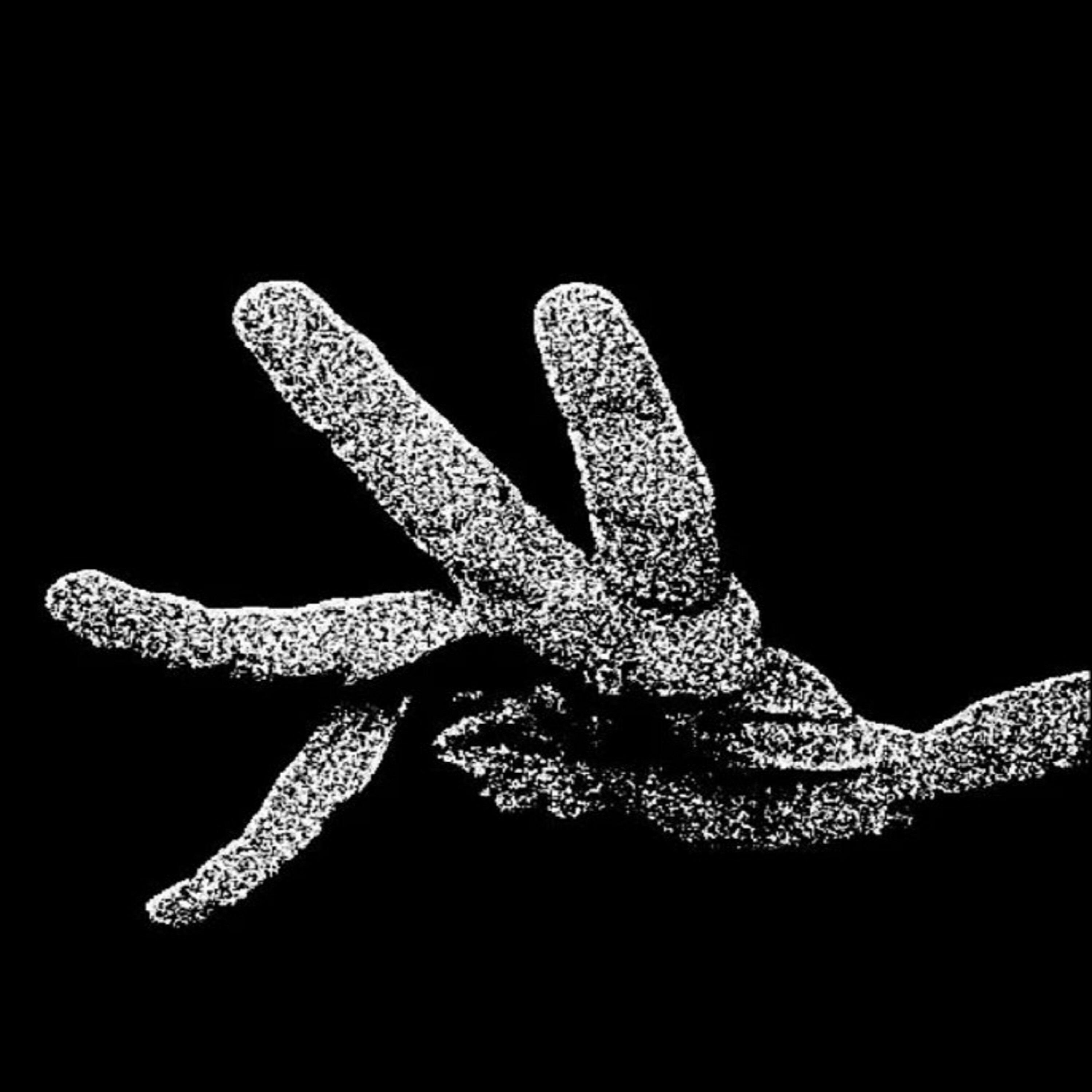Релиз Bones