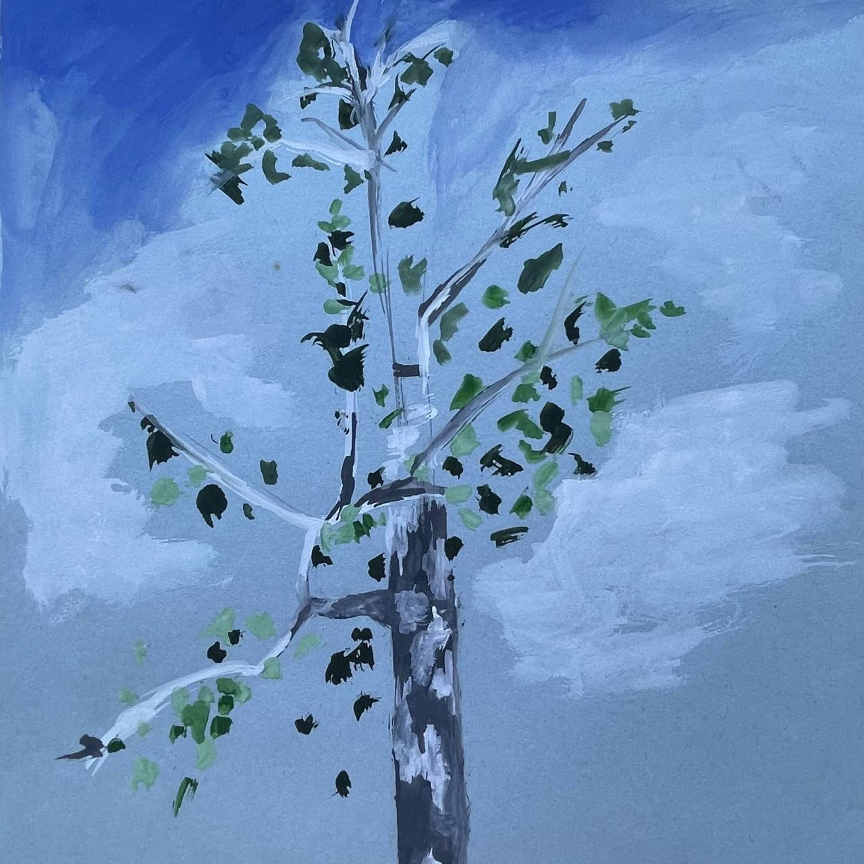 киллер по акции