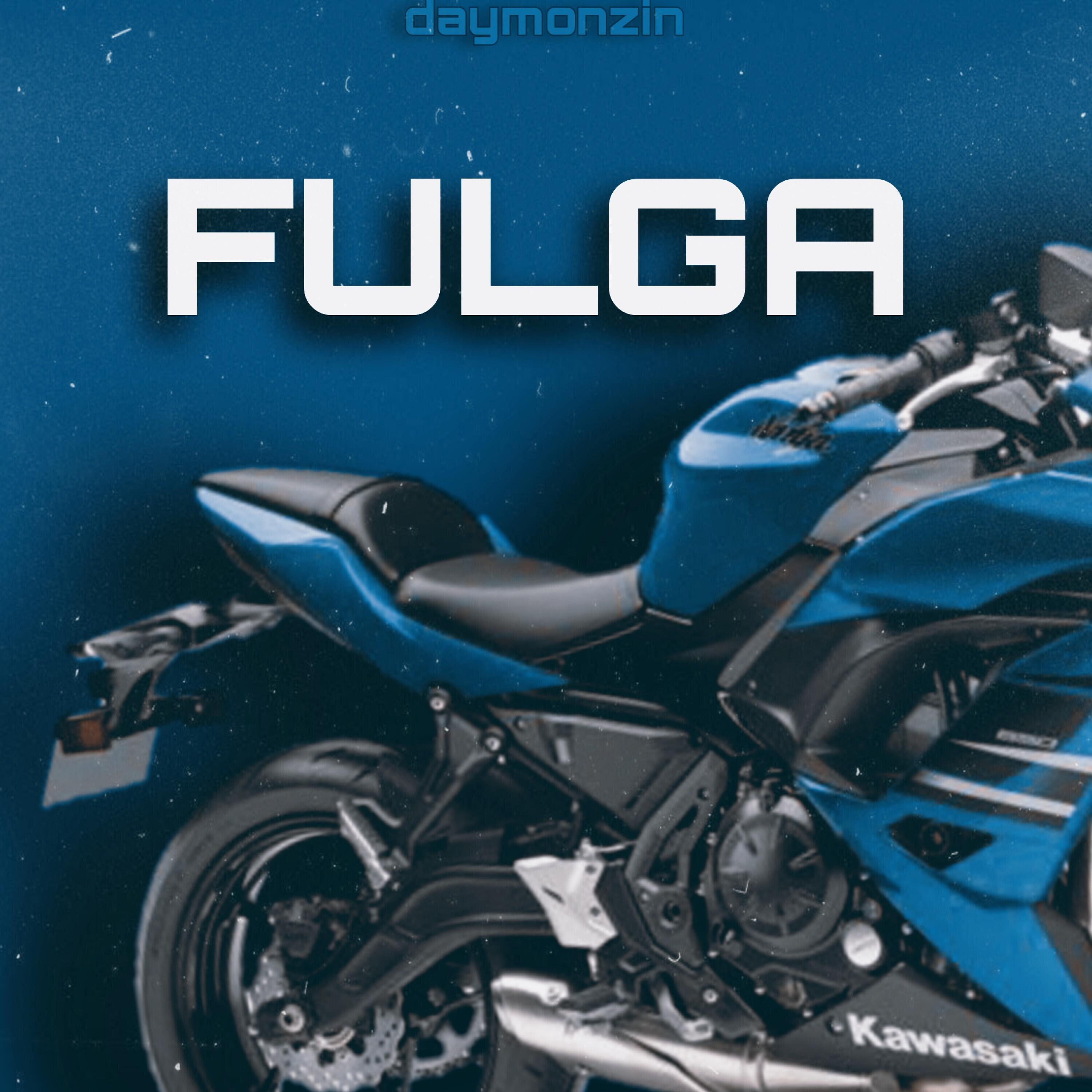 Релиз Fulga