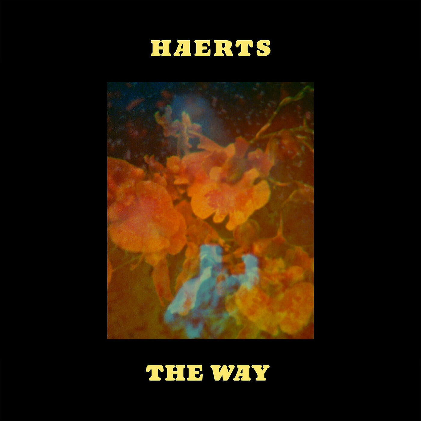 Релиз The Way