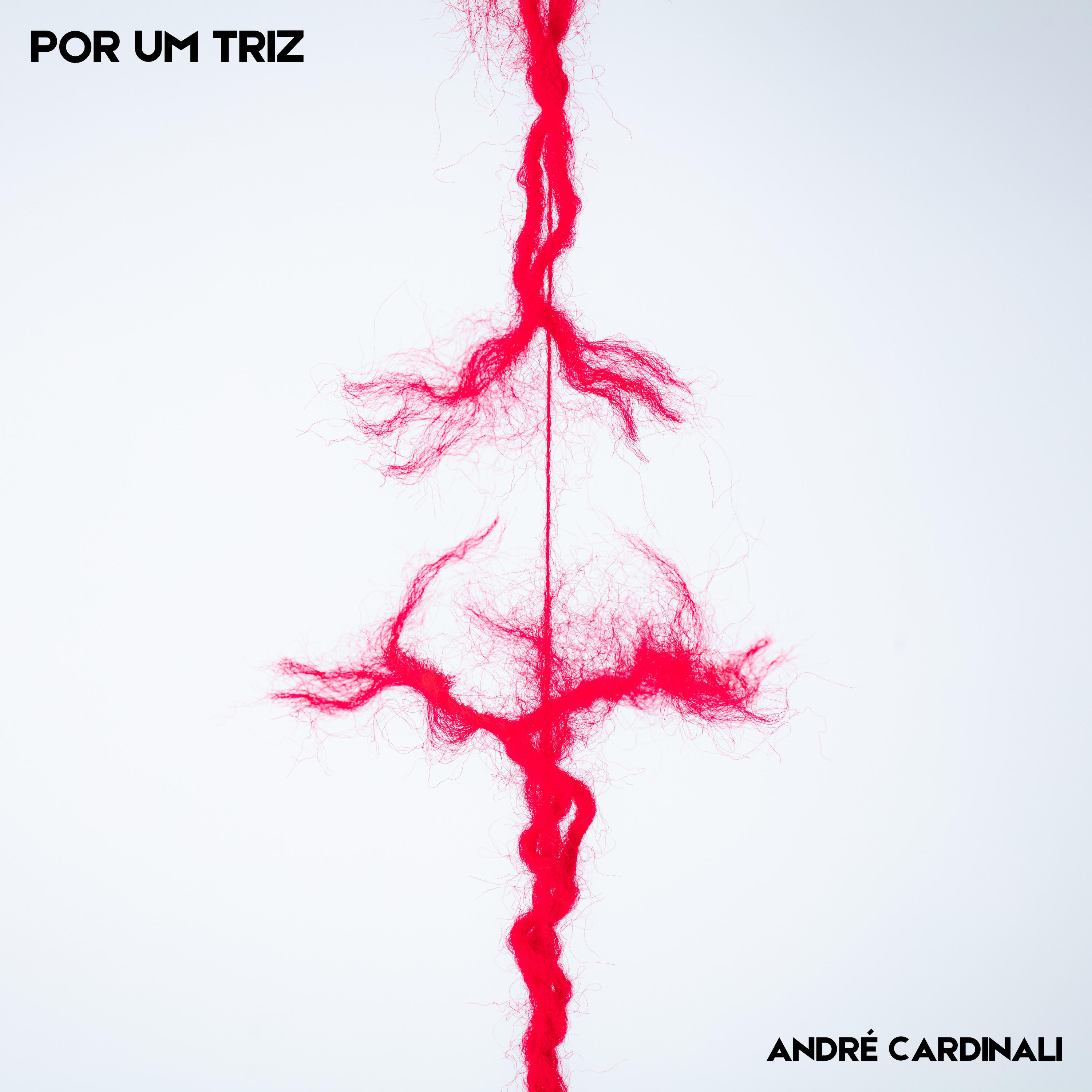 Релиз Por um Triz