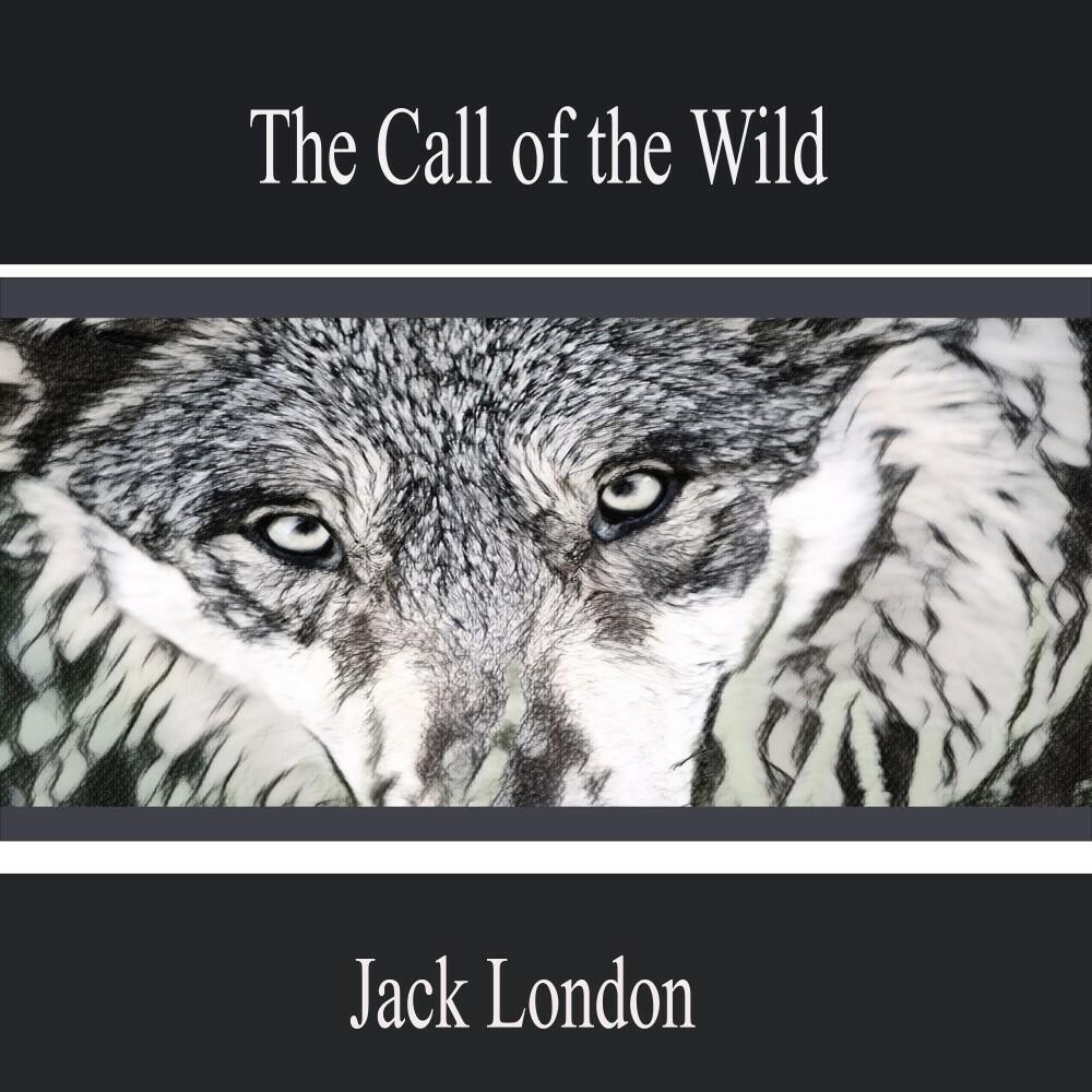 Релиз The Call of the Wild