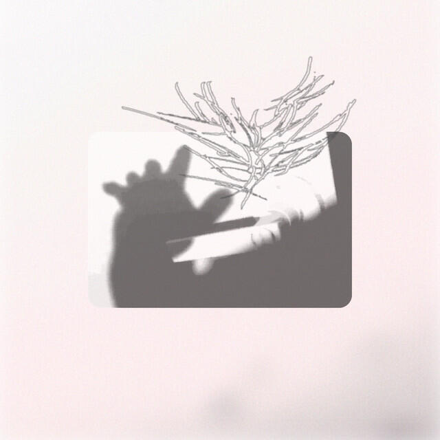 Релиз Torie