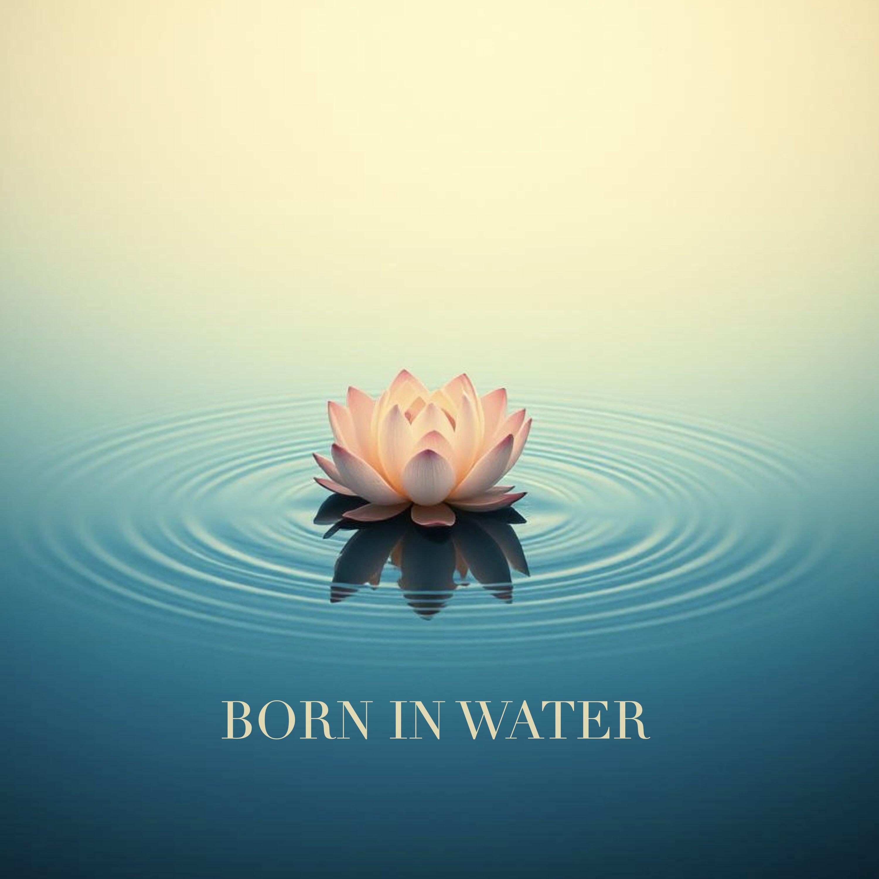 Релиз Born in Water