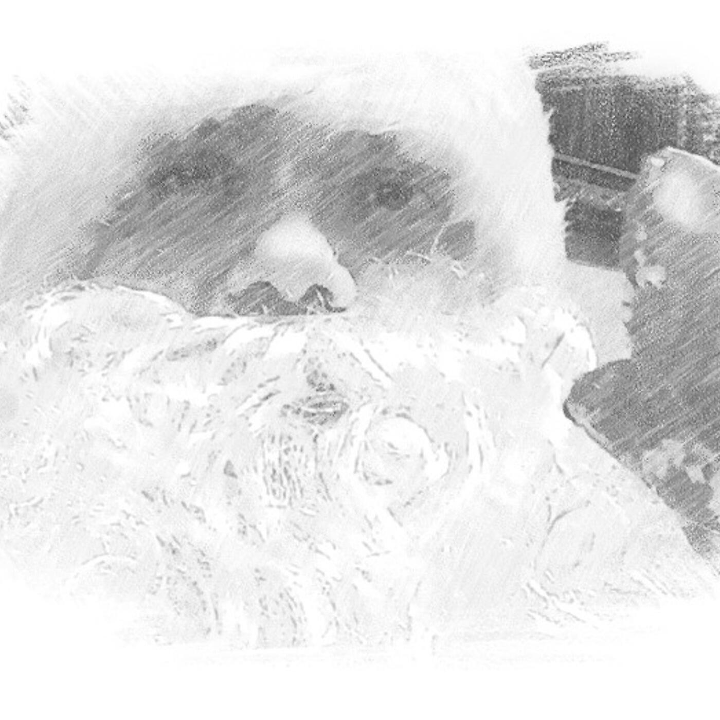 Релиз Песня деда мороза