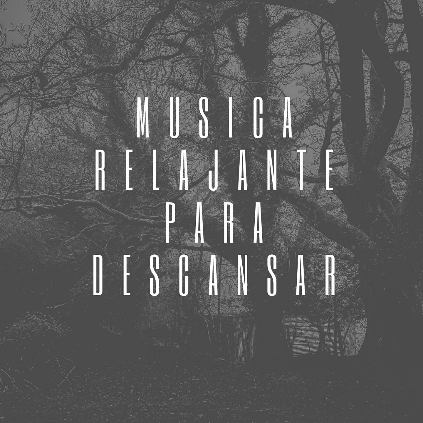 Релиз Meditacion Angelical