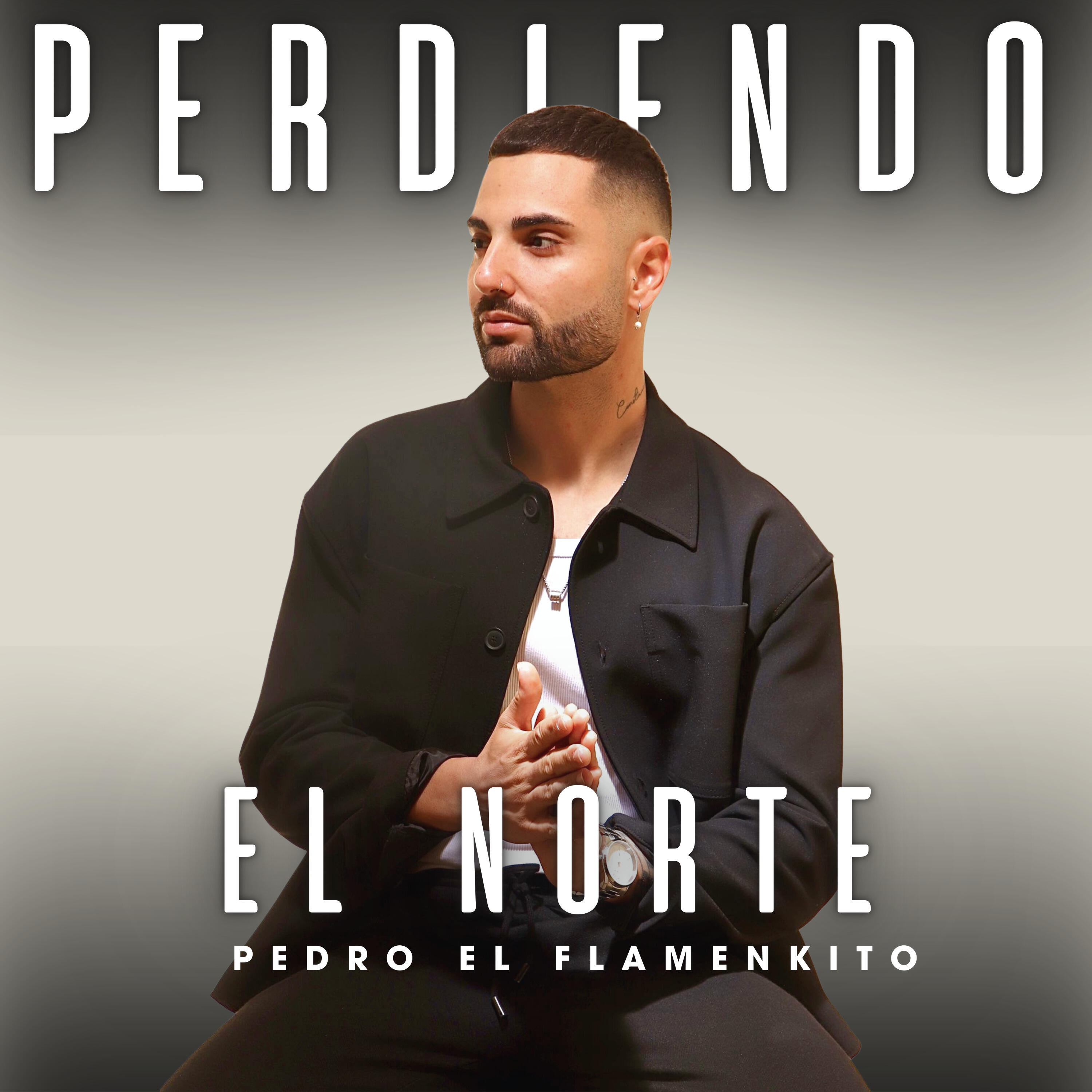 Релиз Perdiendo El Norte