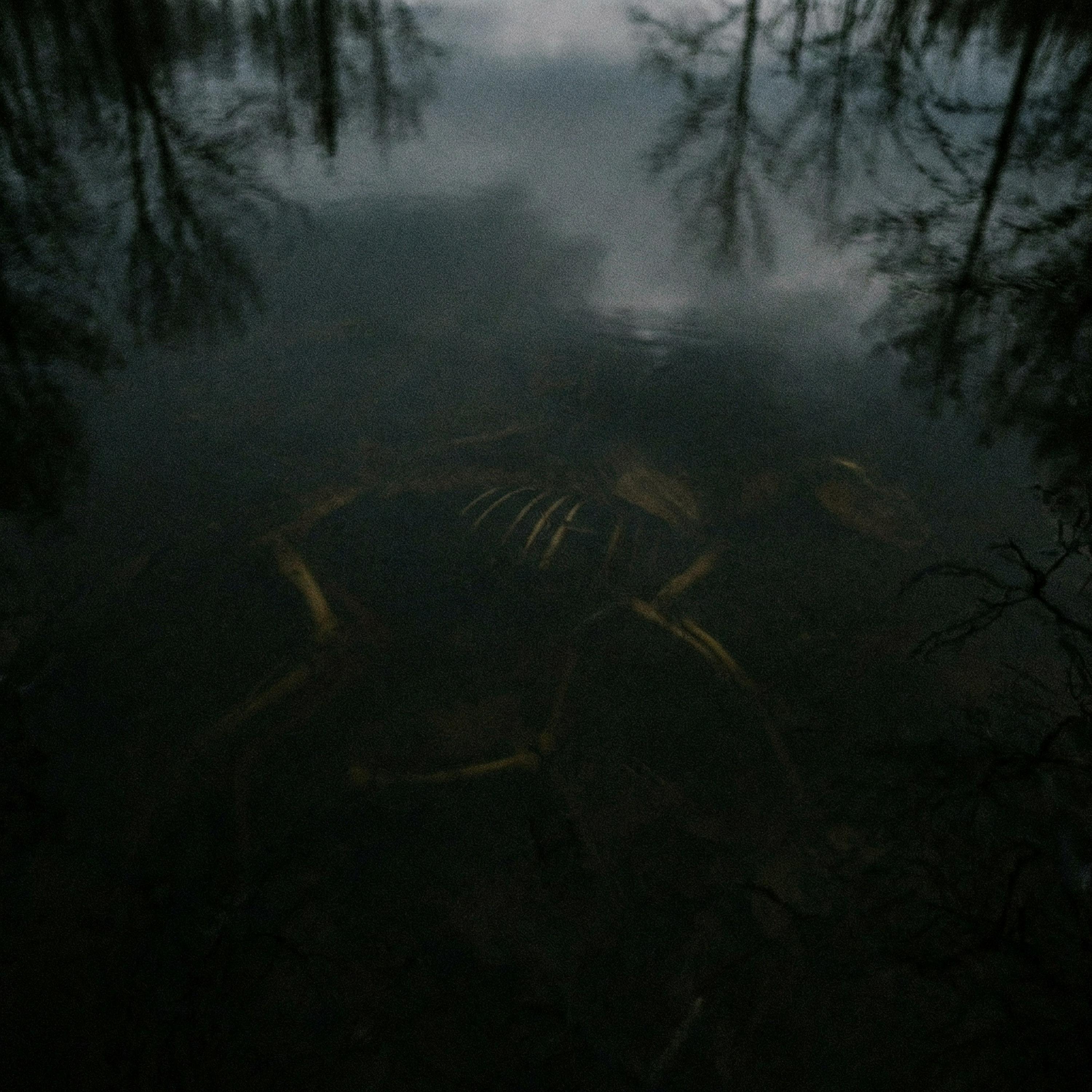 Релиз cold residue