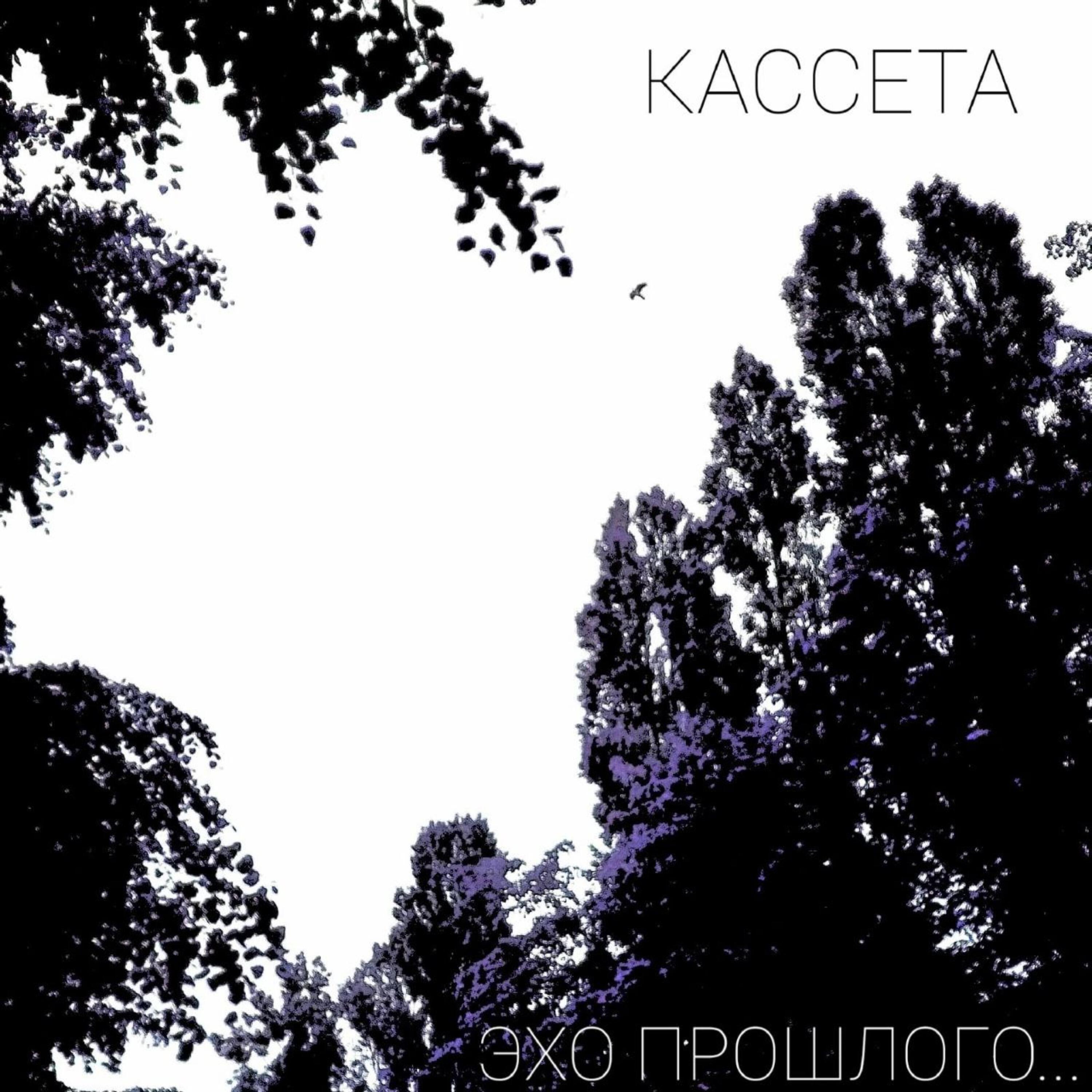 КАССЕТА