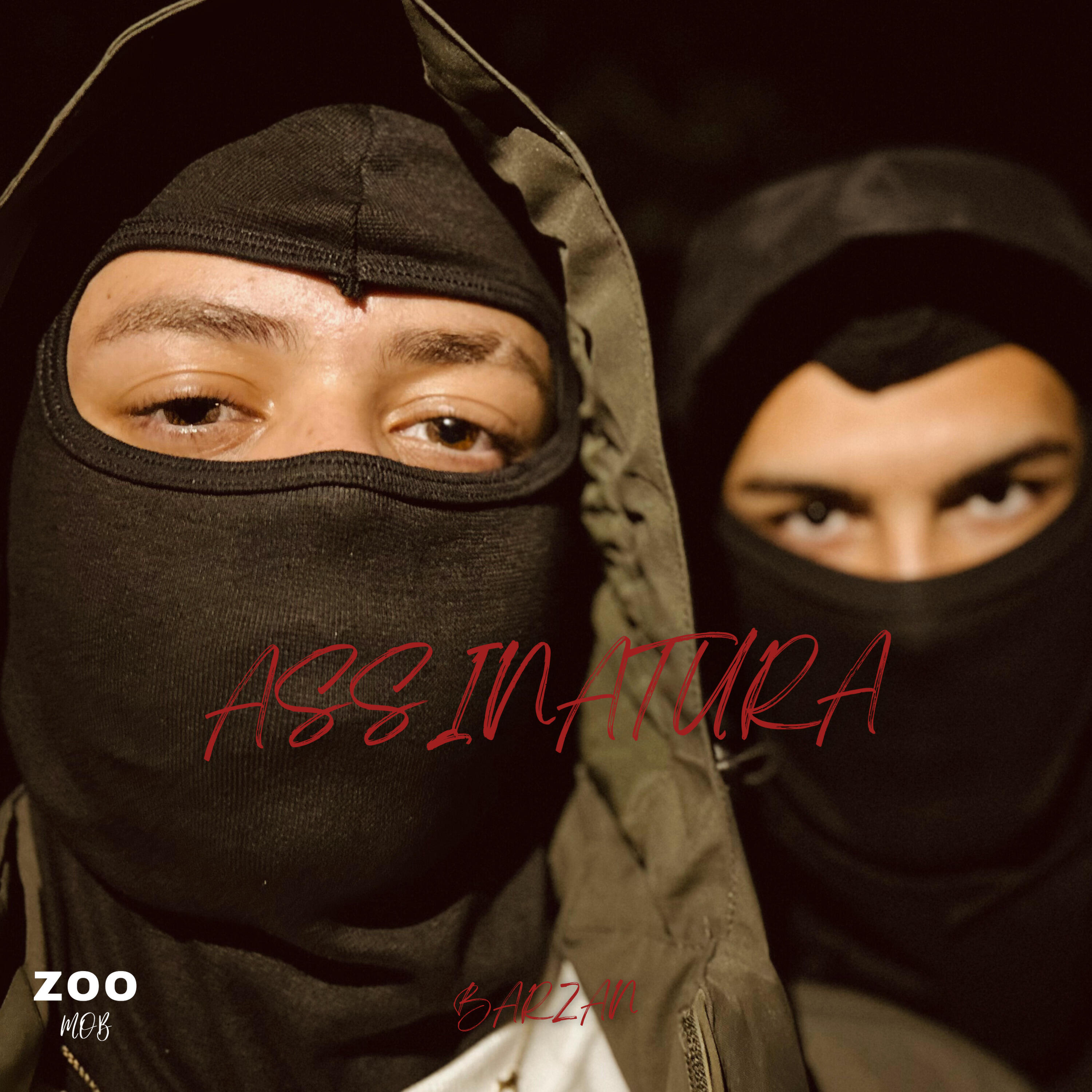 Релиз Assinatura