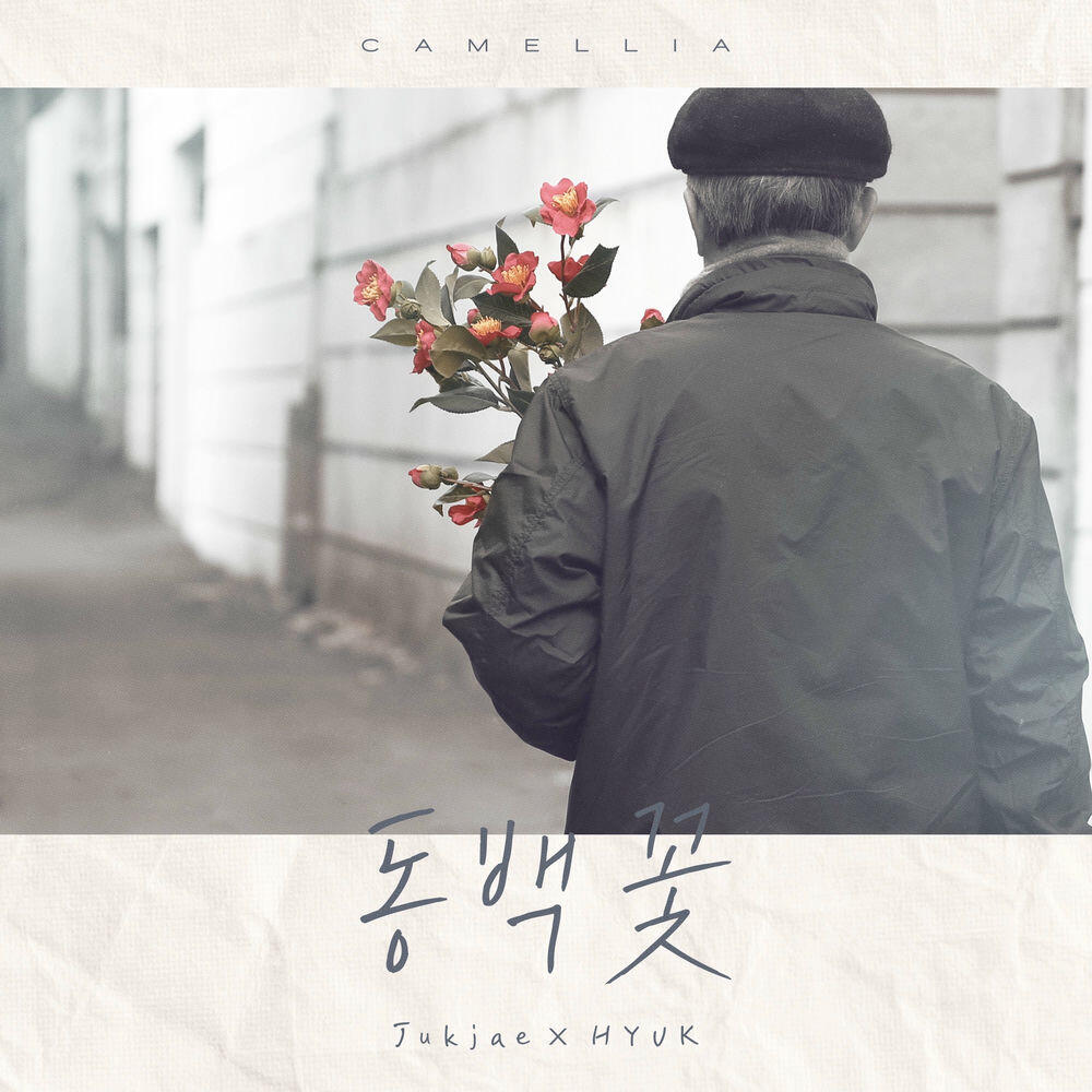 Релиз Camellia