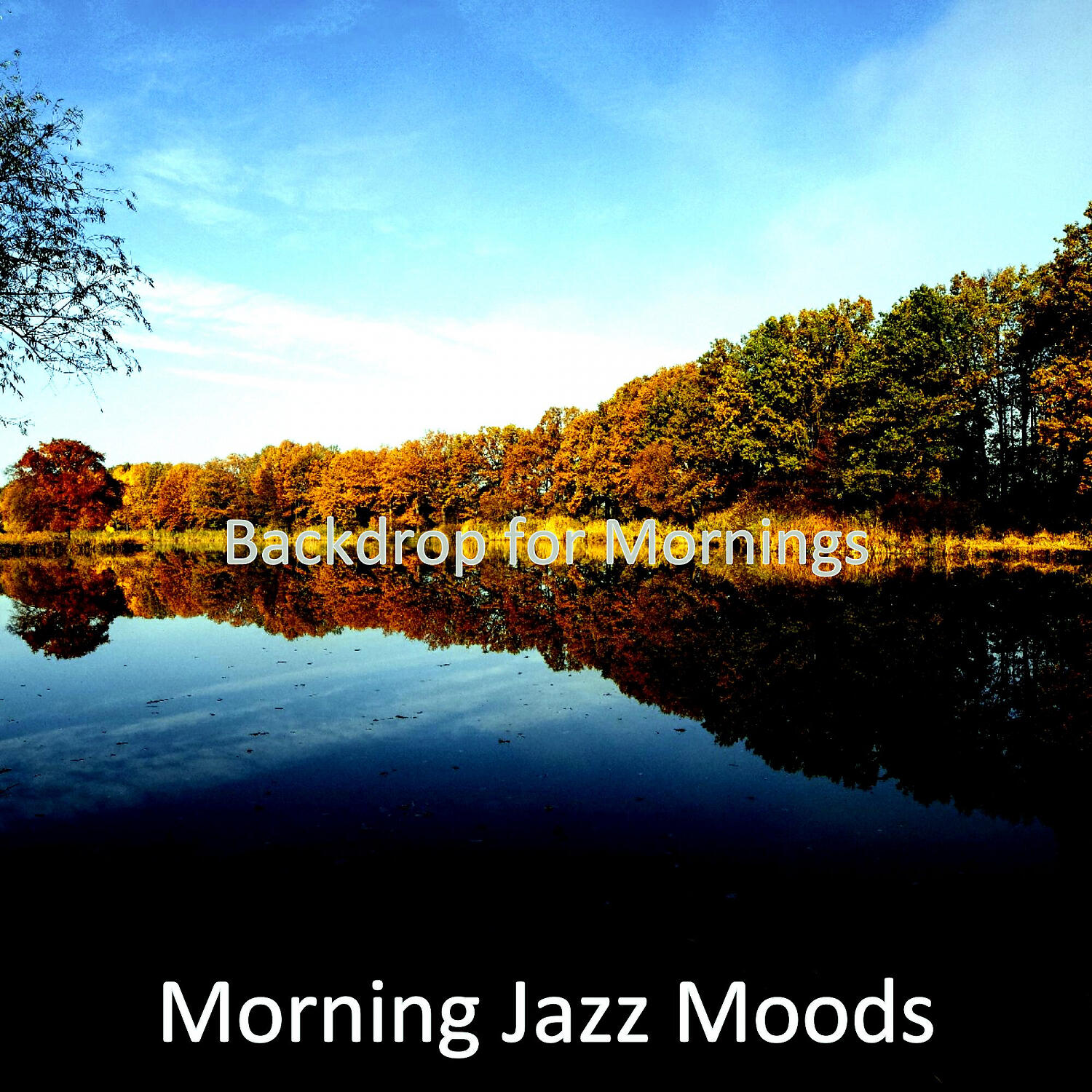 Постер альбома Backdrop for Mornings
