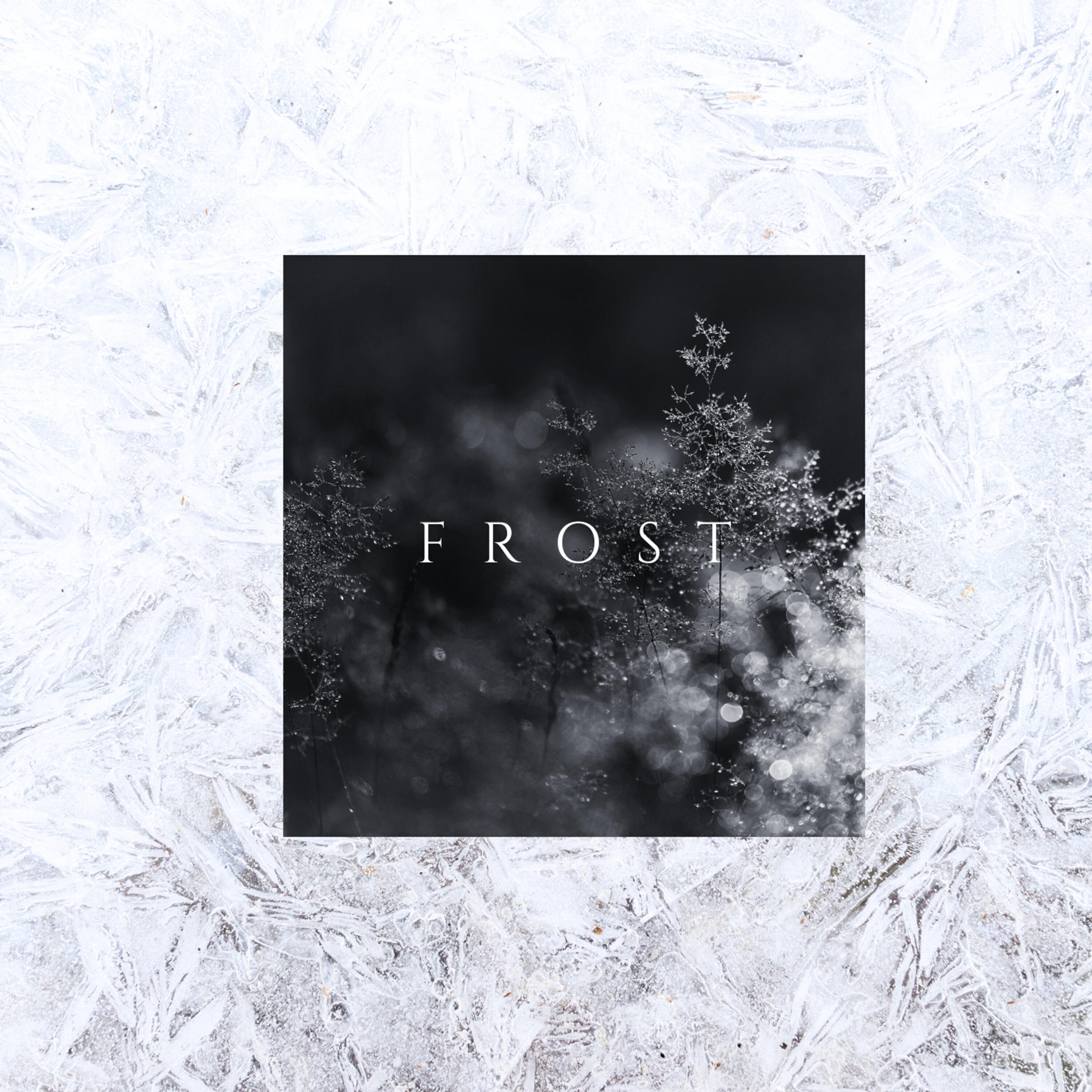 Релиз Frost