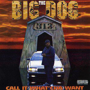 Big Dog
