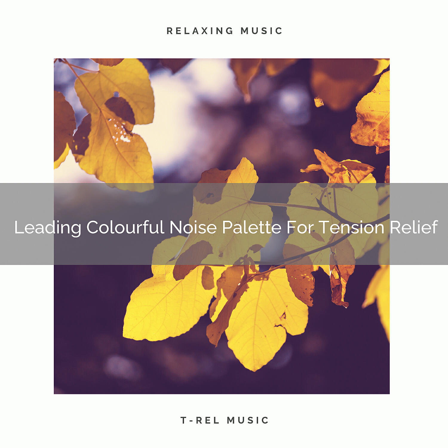 Релиз Leading Colourful Noise Palette For Tension Relief