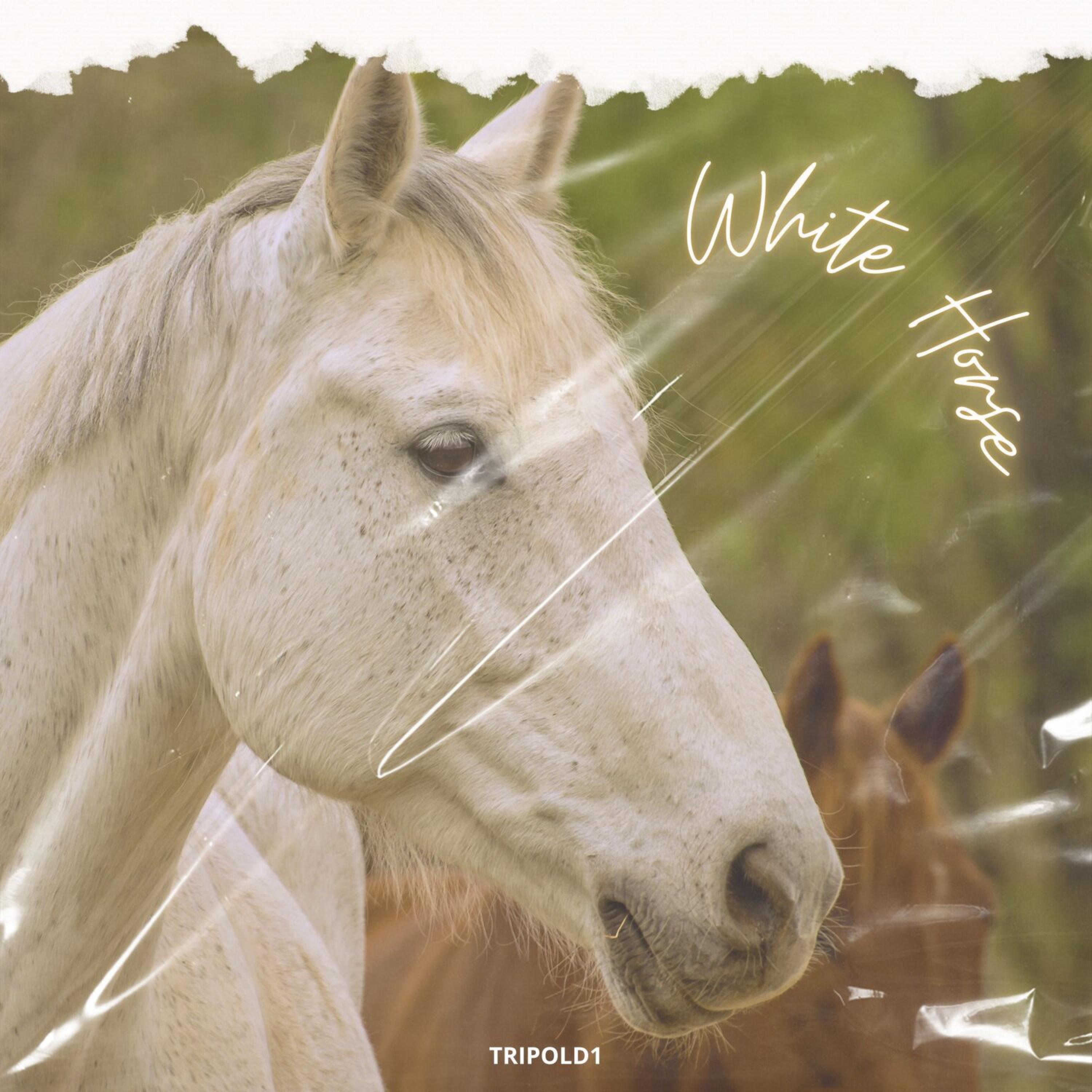 Релиз White Horse