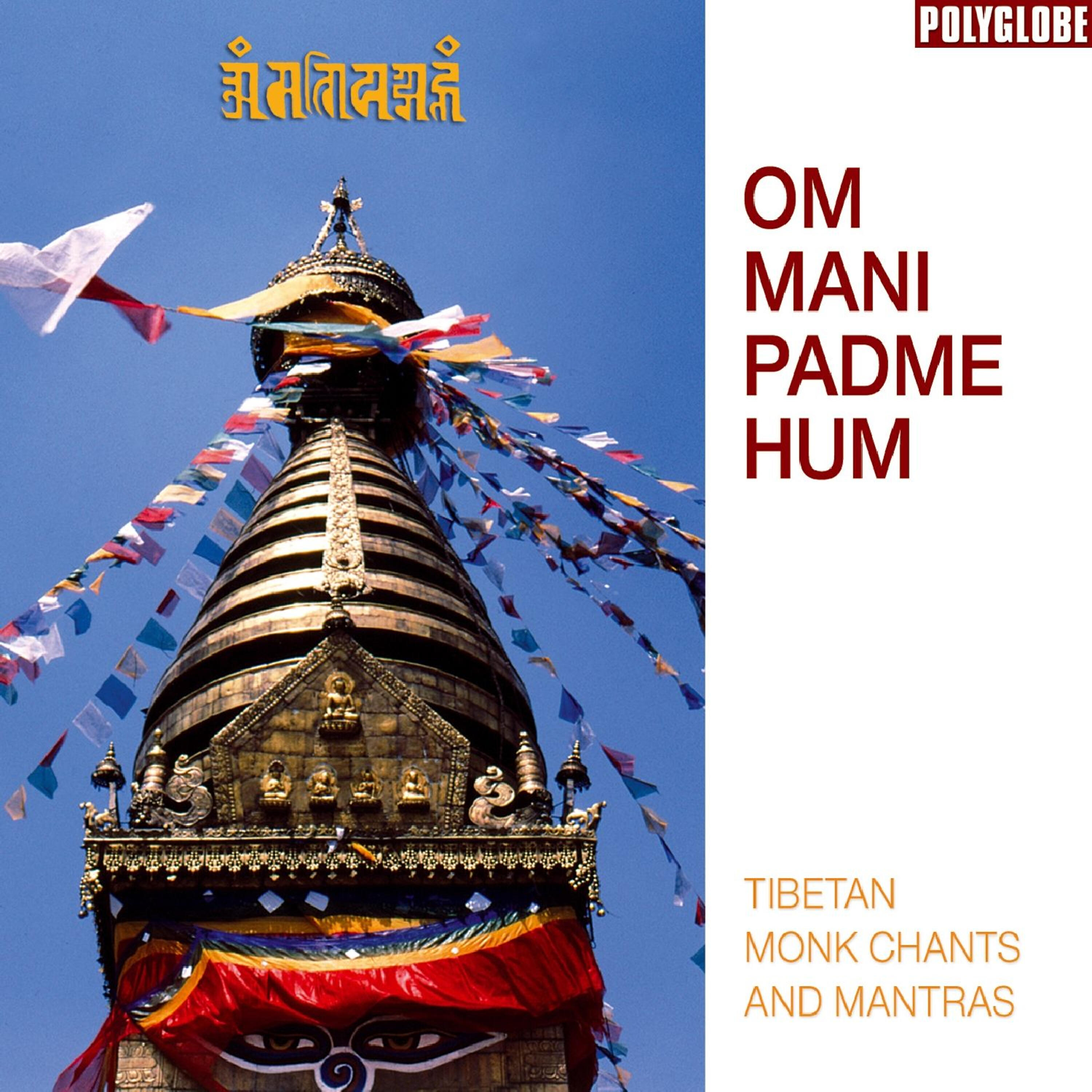 Постер альбома Om Mani Padme Hum