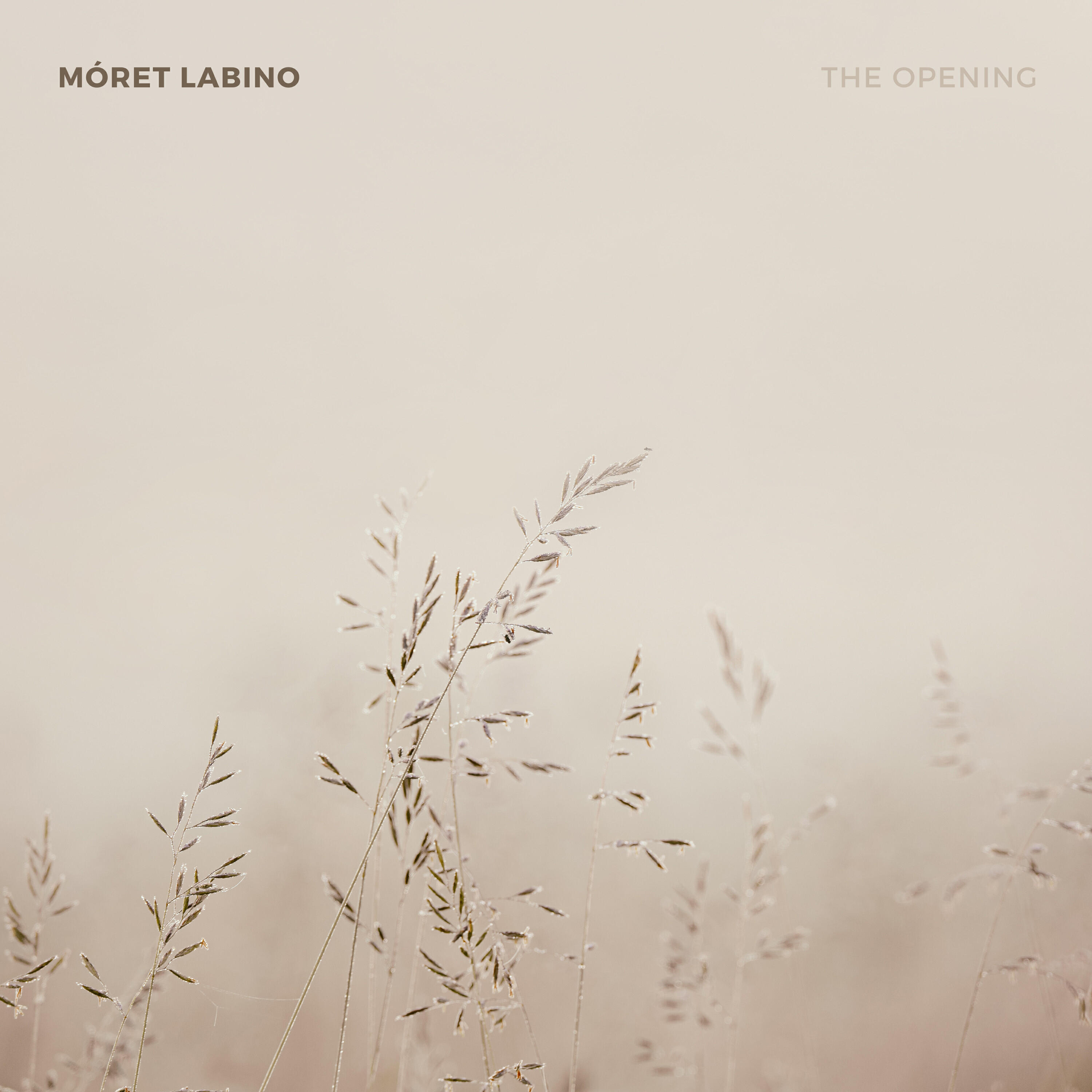 Релиз The Opening
