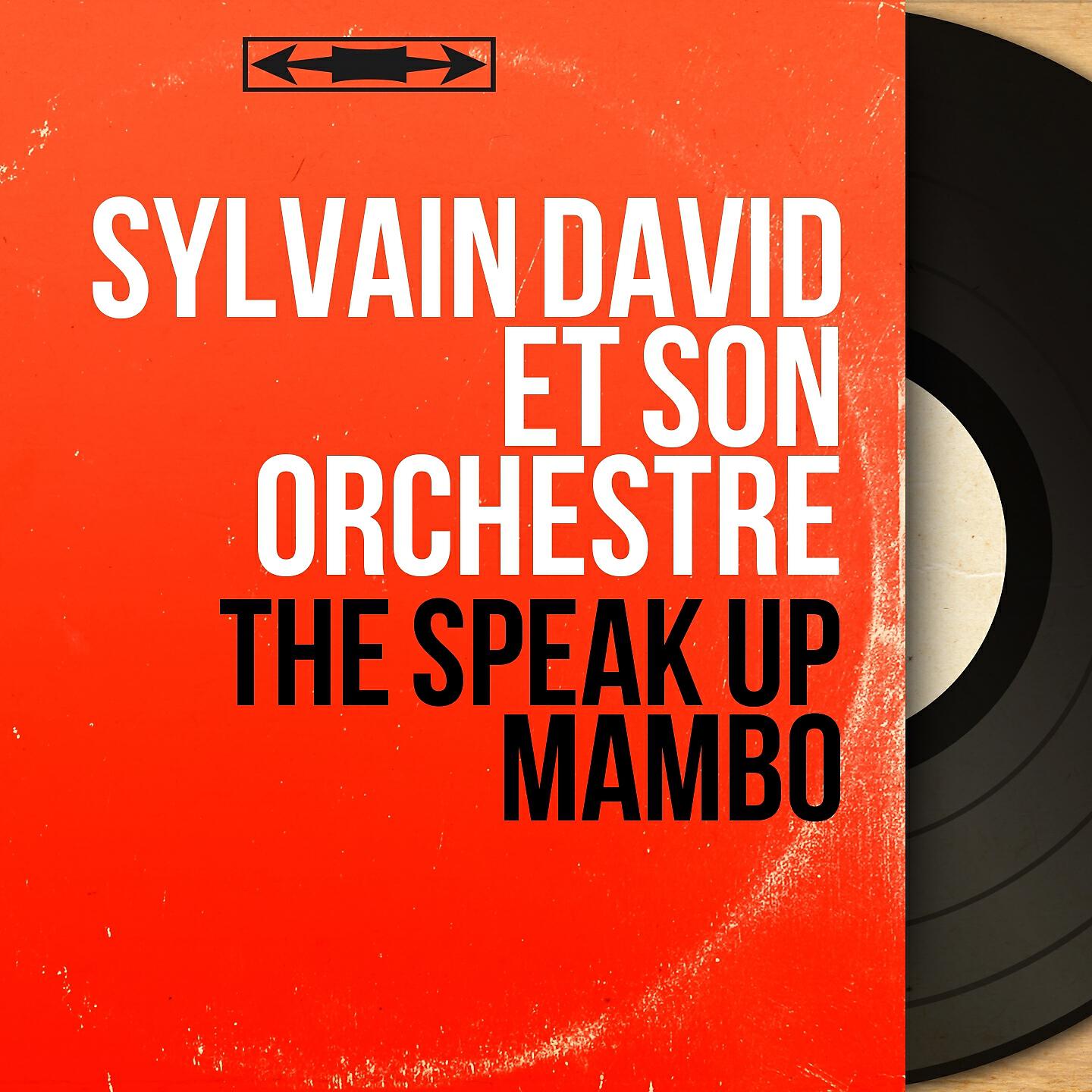Sylvain David et son orchestre