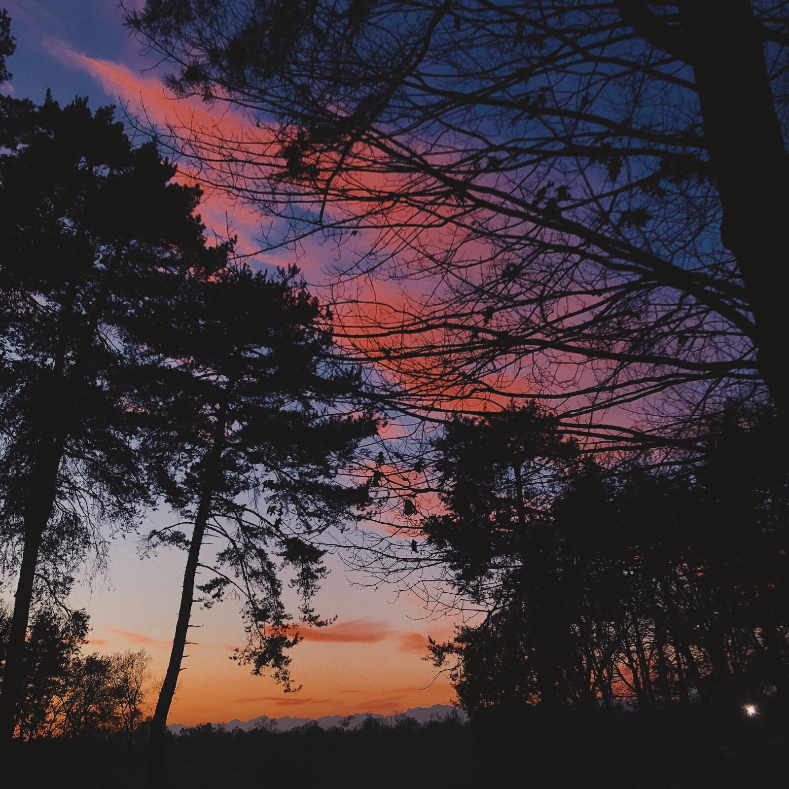 Релиз I'm worried about you