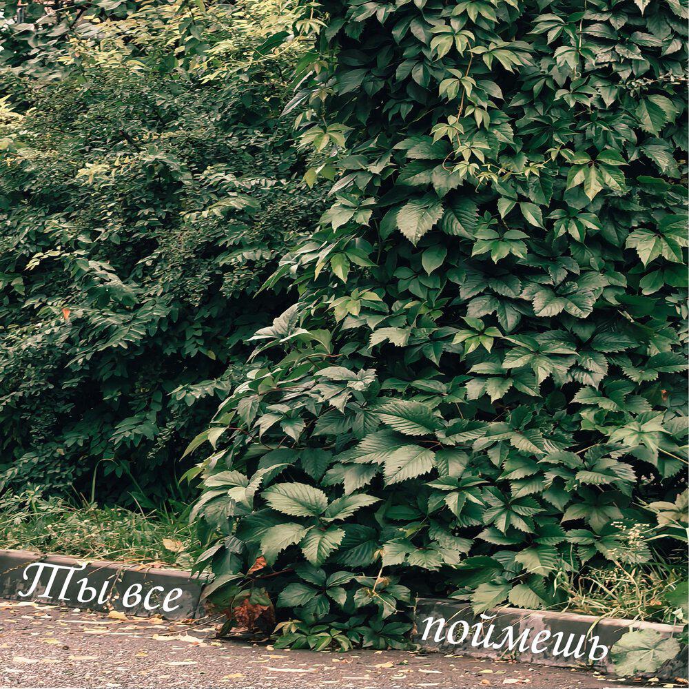 Релиз Ты все поймешь