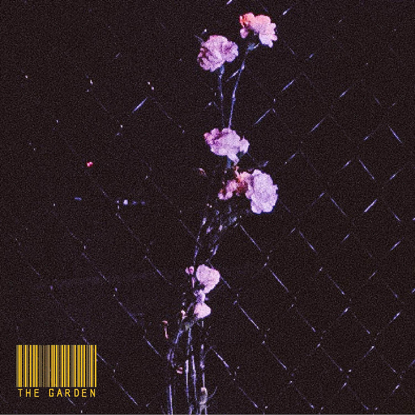 Релиз The Garden (I’ll Be Alright)