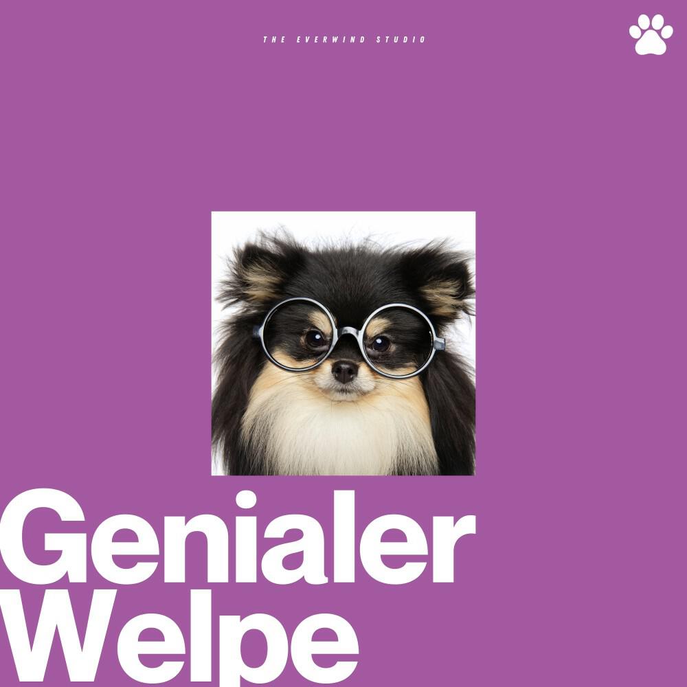 Schlafende Musik für Hunde