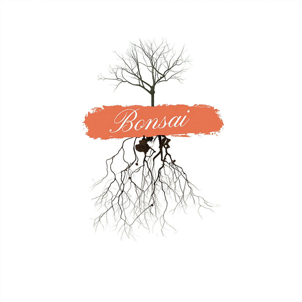 Релиз BONSAI