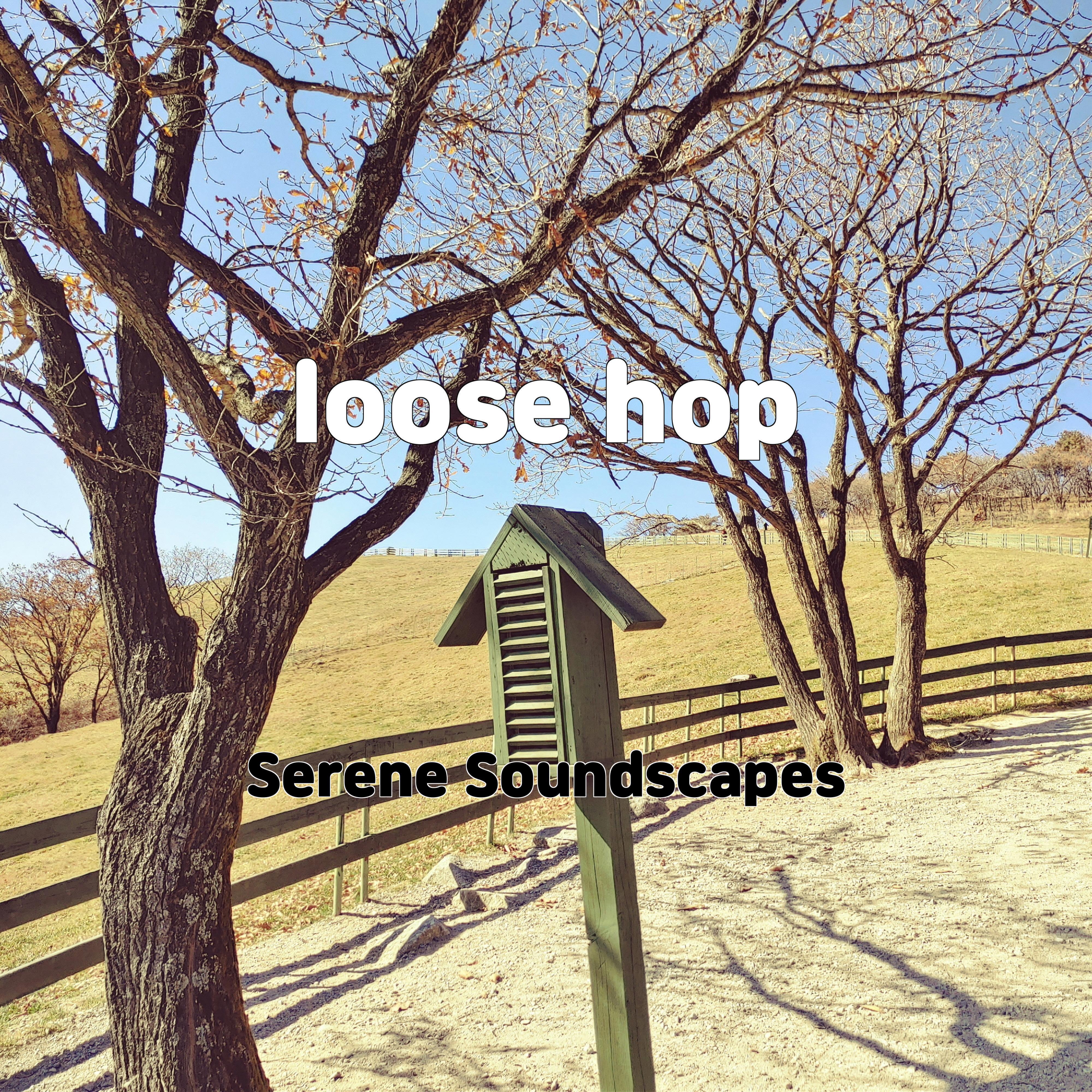 Релиз loose hop