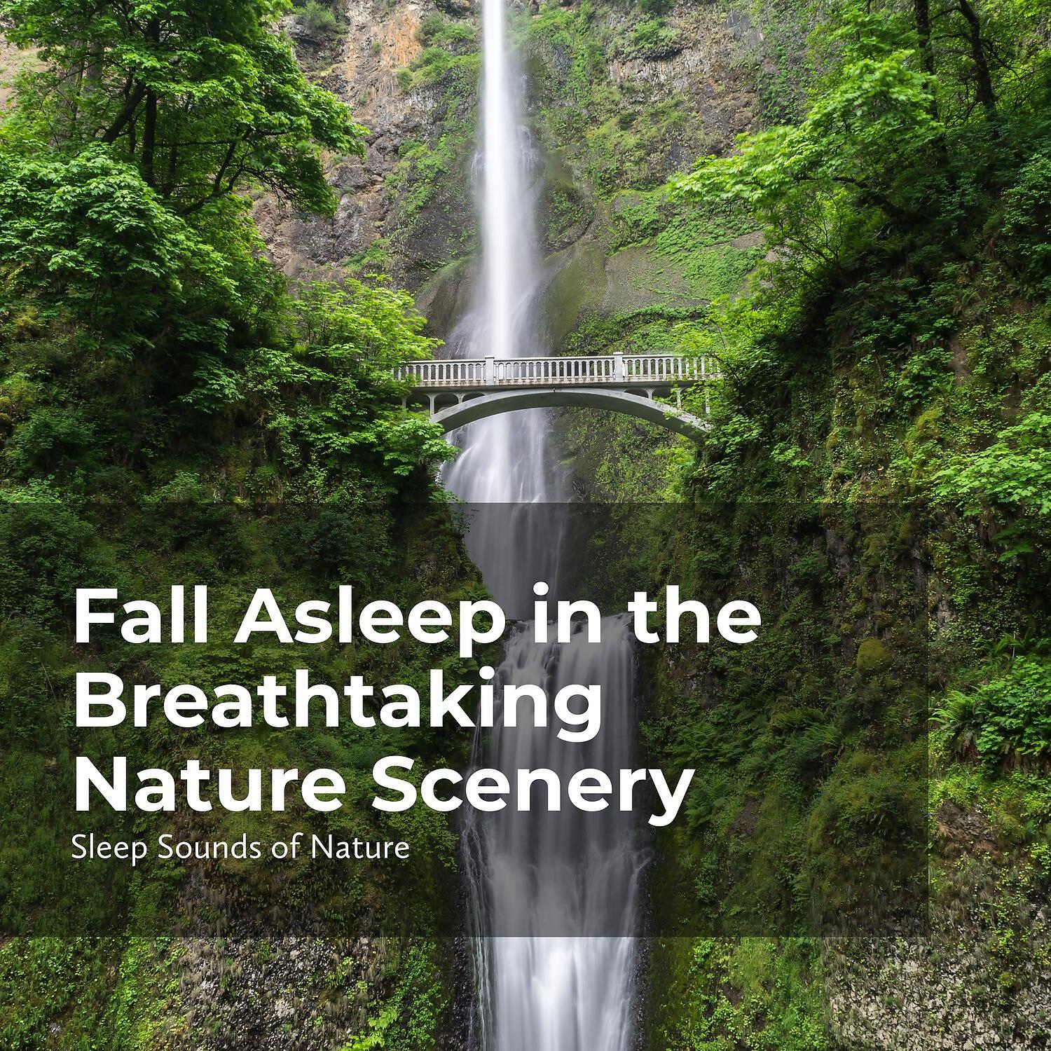 Релиз Fall Asleep in the Breathtaking Nature Scenery