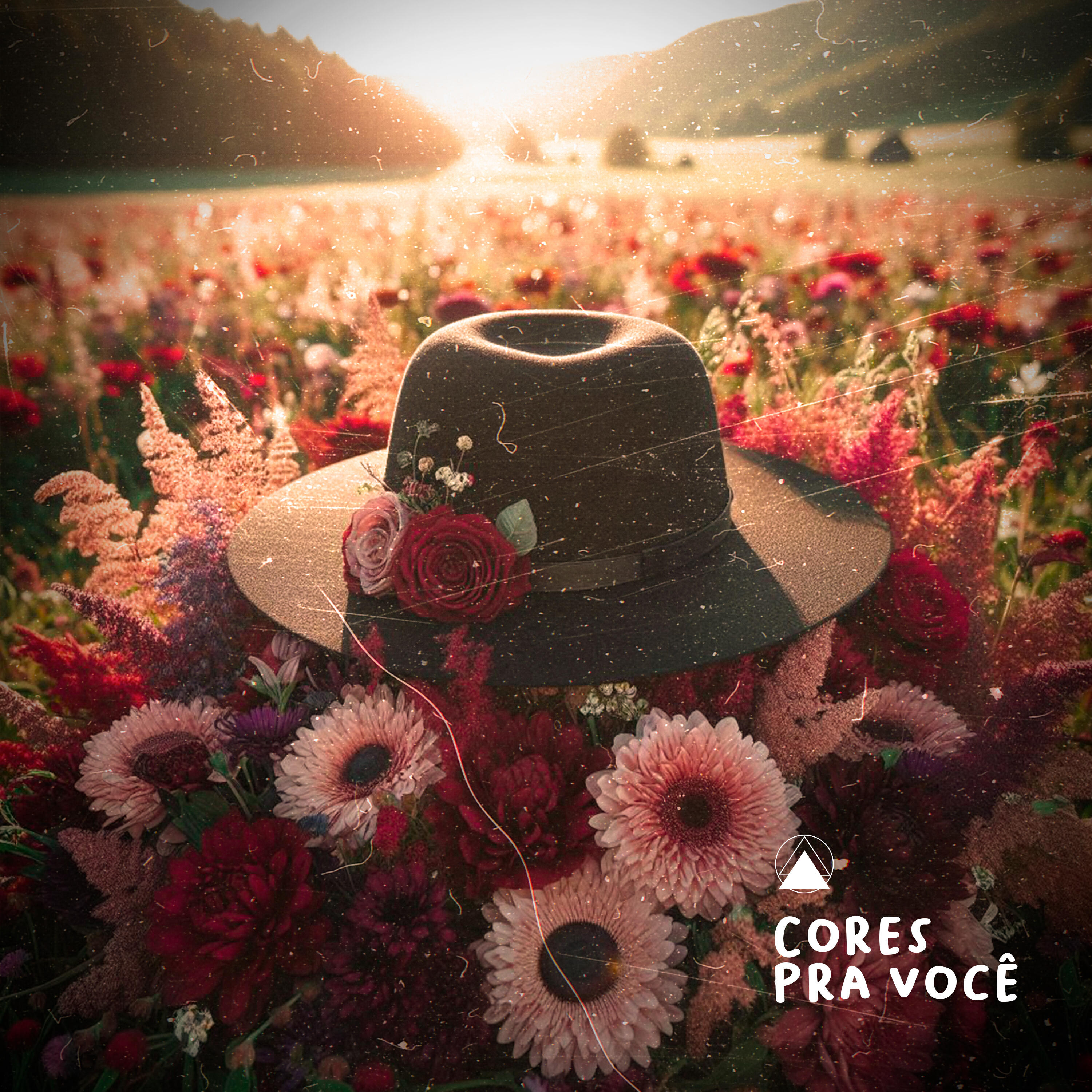 Релиз Cores pra Você